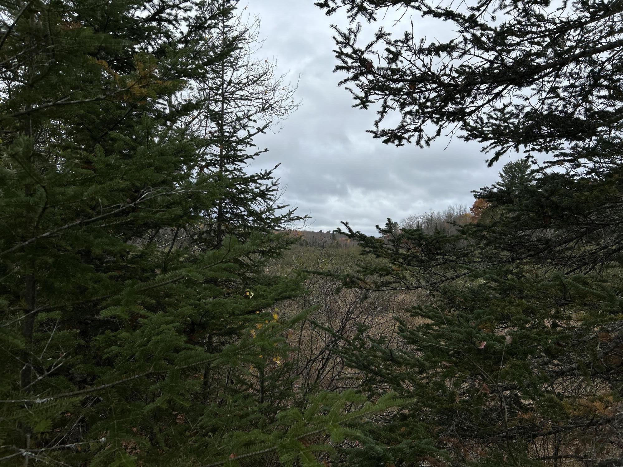 M4L18 Bog Road, Jackson, ME, 04921