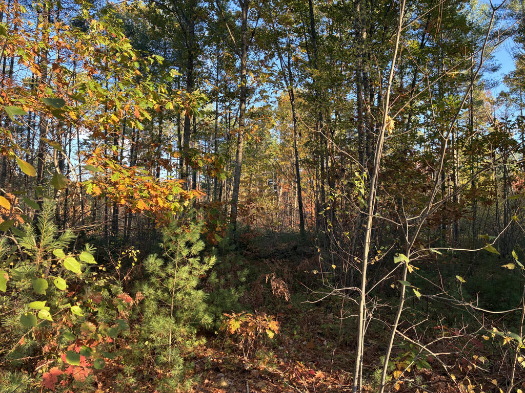 Lot2Ground5