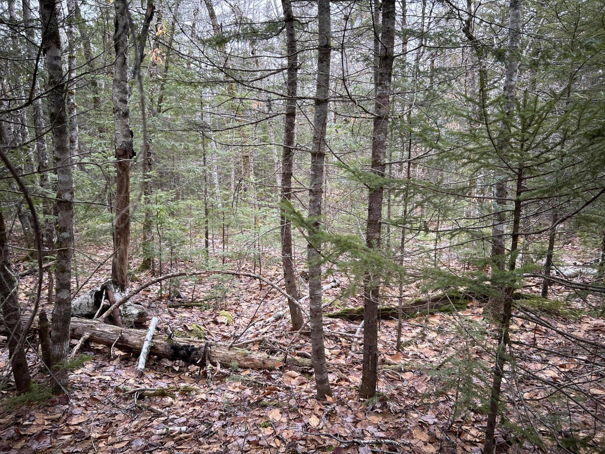 WA31P01L21 Kings Street, Dennysville, ME, 04628