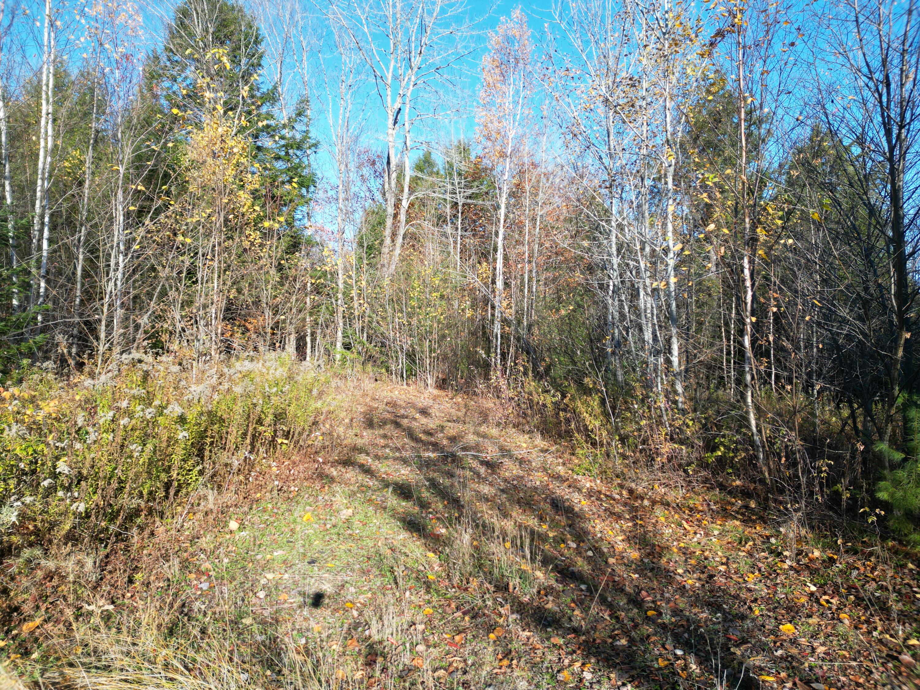 Lot 18-1 Mattamiscontis Road, Howland, ME, 04448