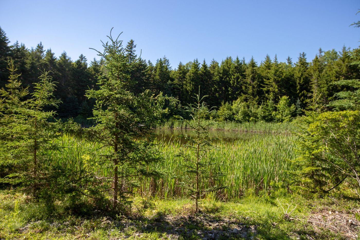 Lot 001 Sheephead Island, Deer Isle, ME, 04627