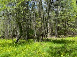 254 Eaton Road, Dexter, ME 04435 — photo 40