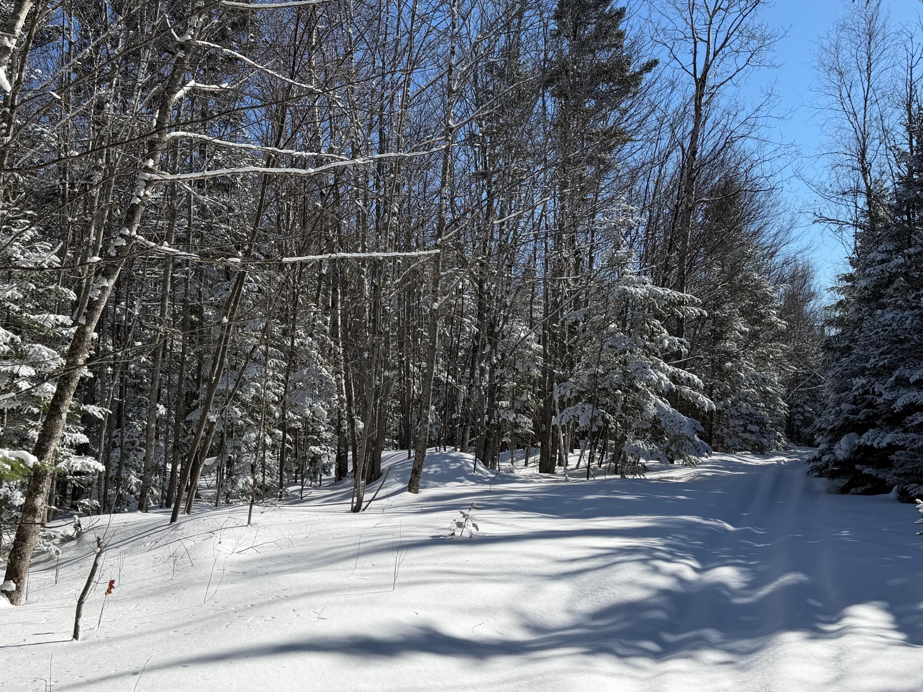 M5 Lot 1&3 East Road, Greenville, ME, 04441