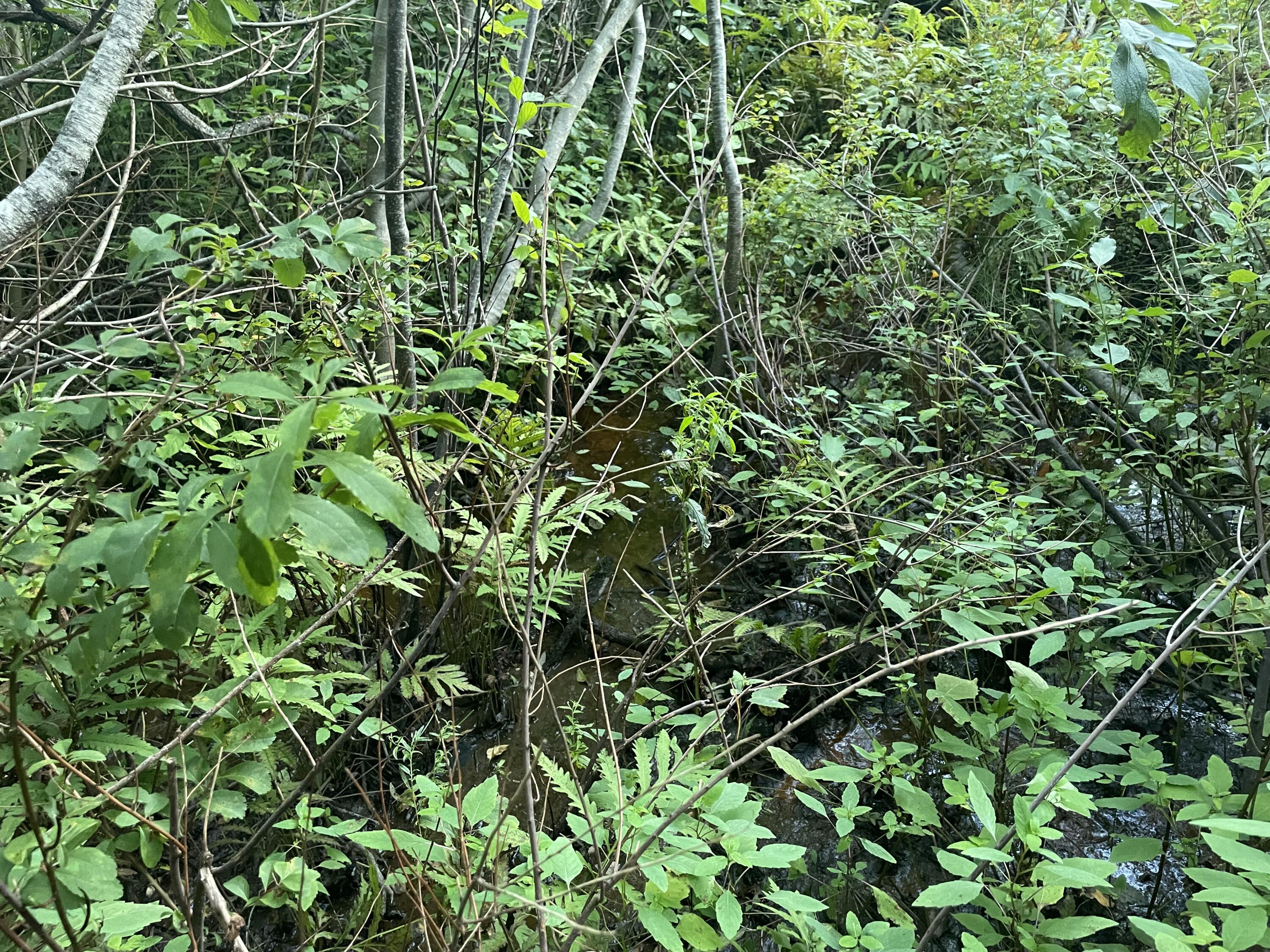 0 Cross Street, Manchester, ME, 04351