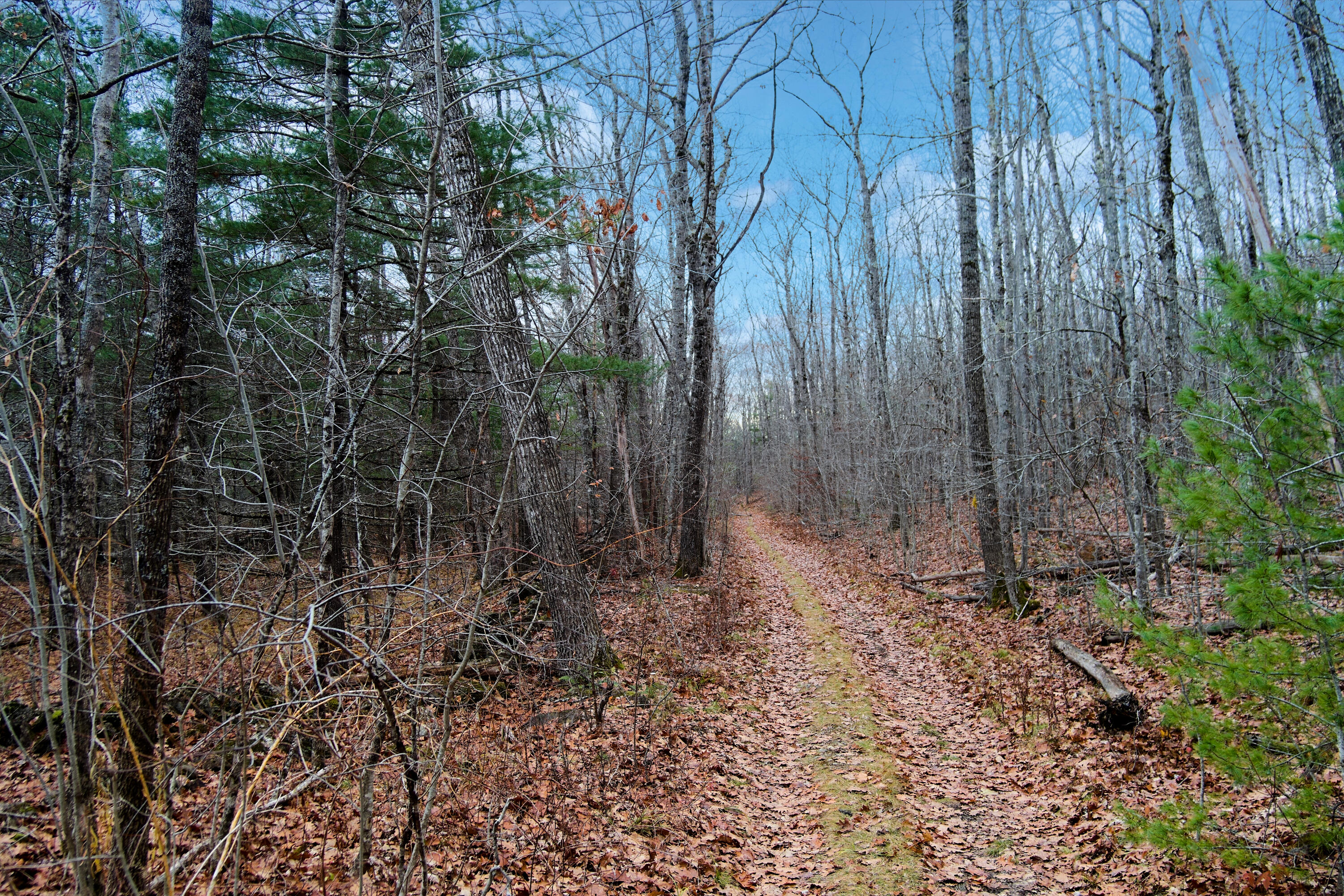 Lot 151 Dunbar Road, Thomaston, ME, 04861