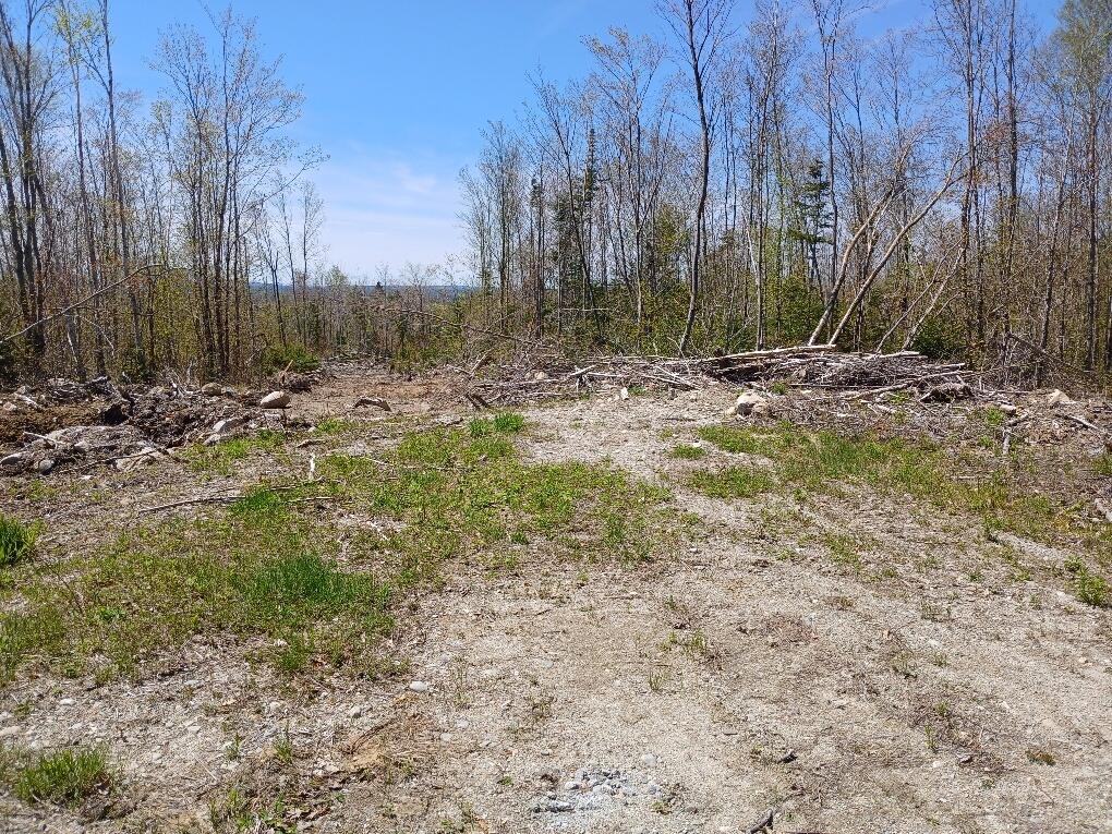 Search Homes for Sale