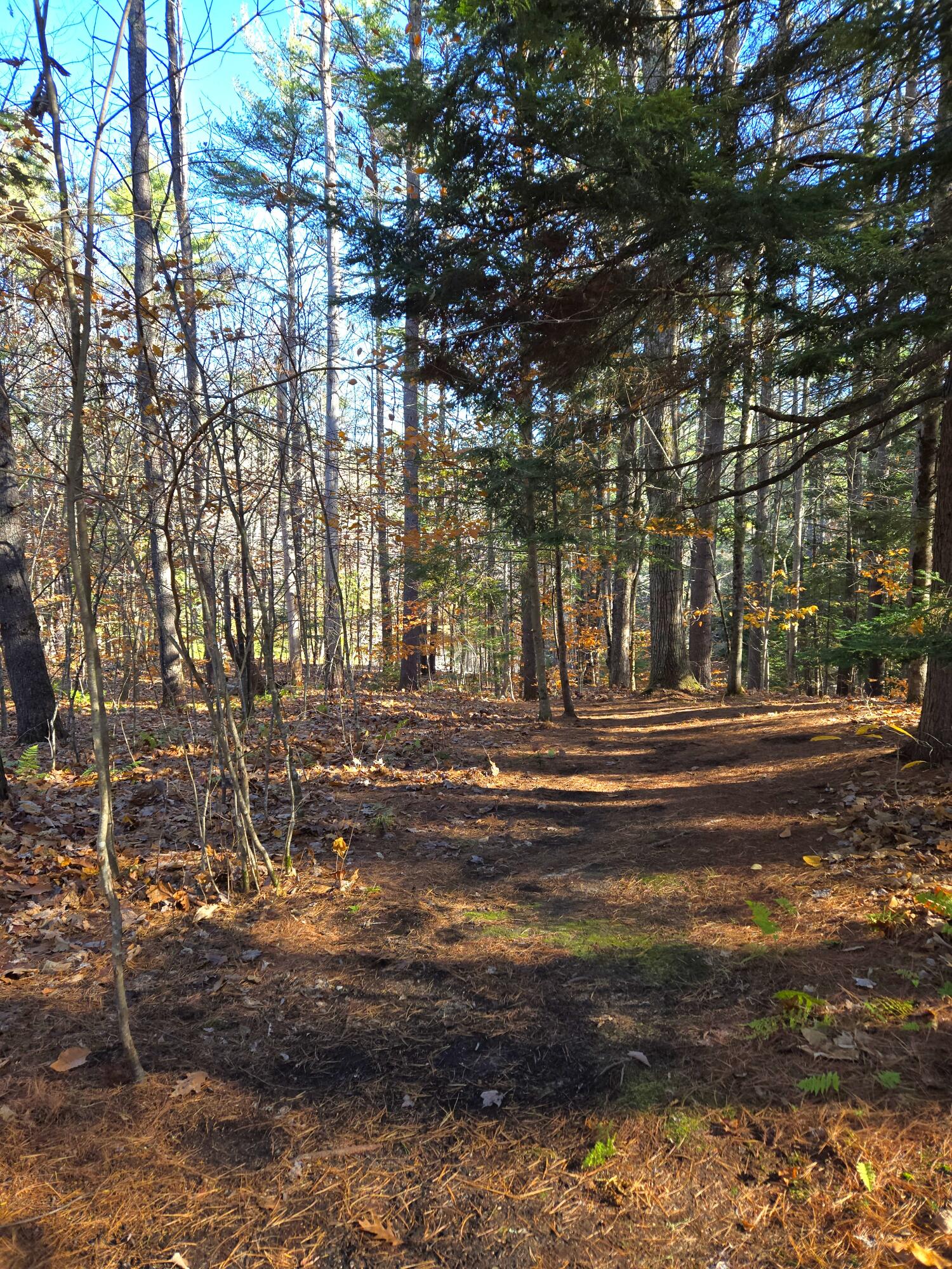 31 Sand Road, Naples, ME, 04055