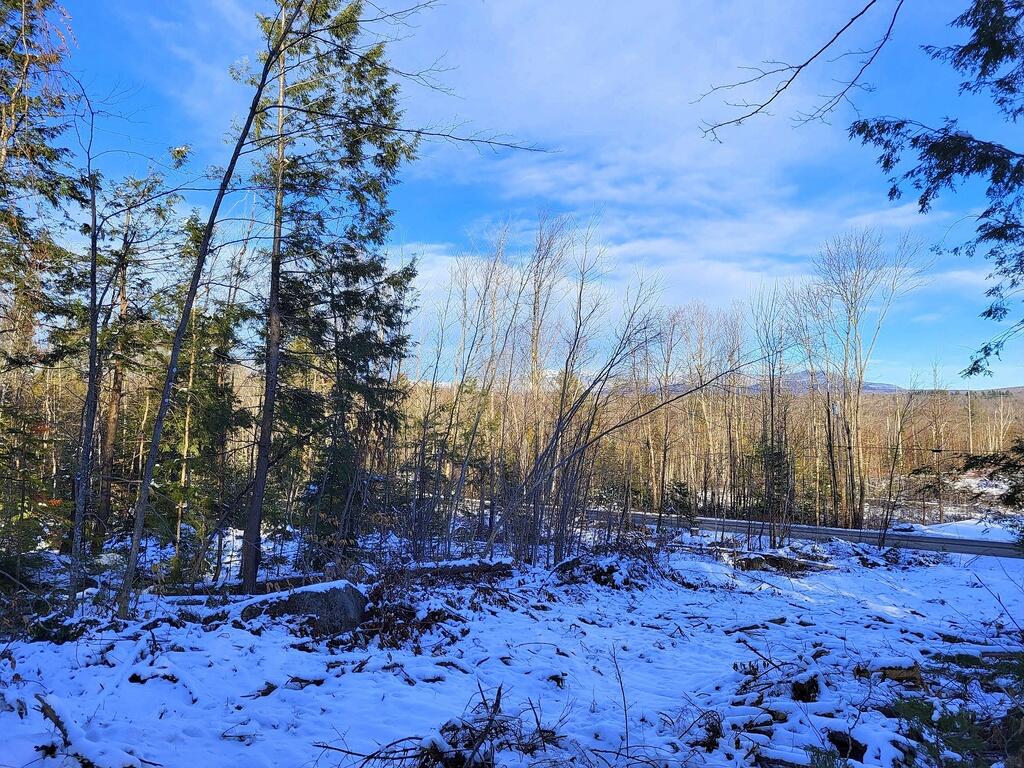 Lot 62.2 Reeds Mill Road, Madrid Twp, ME, 04966