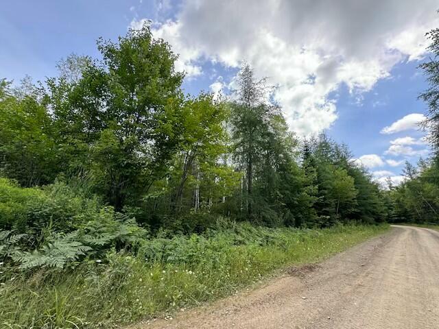 Lot UNIT&nbsp;3 Pleine Road, Saint Agatha, ME, 04772