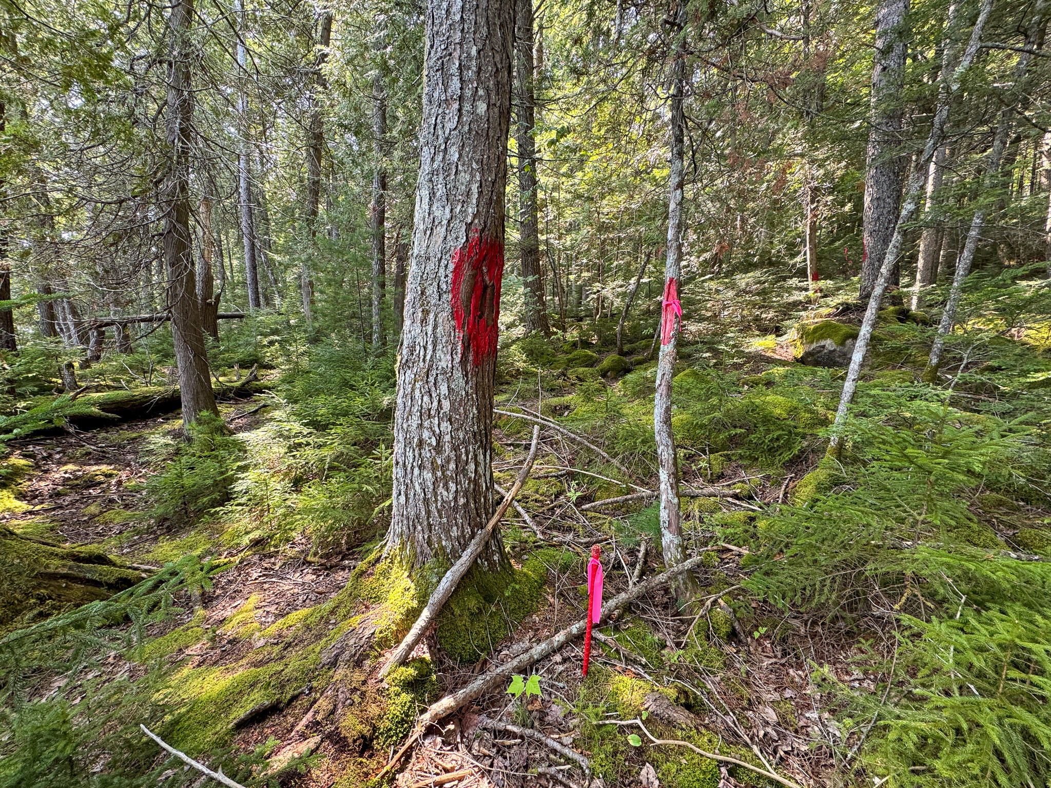 P/O M29L23 Bluff Road, Enfield, ME, 04493