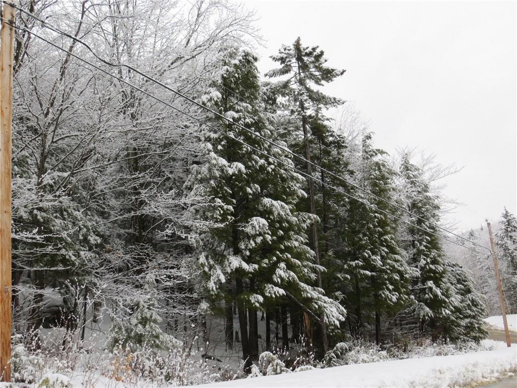 Lot 67 Snowbird Lane, Newry, ME, 04261