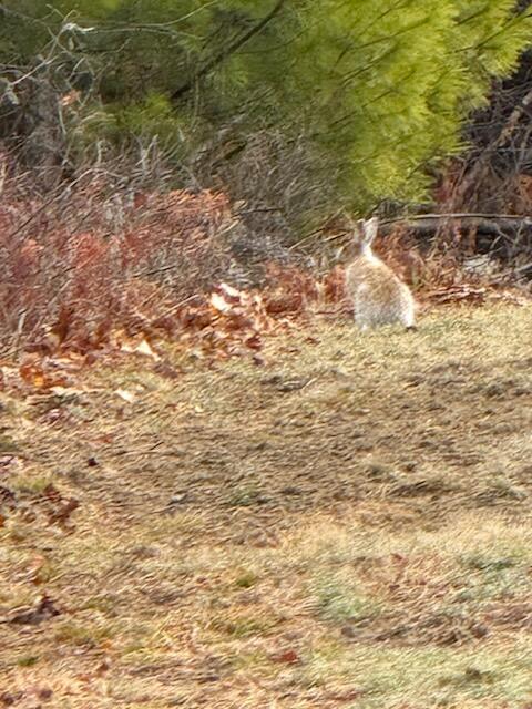 7 Silver Way, Oxford, ME, 04270