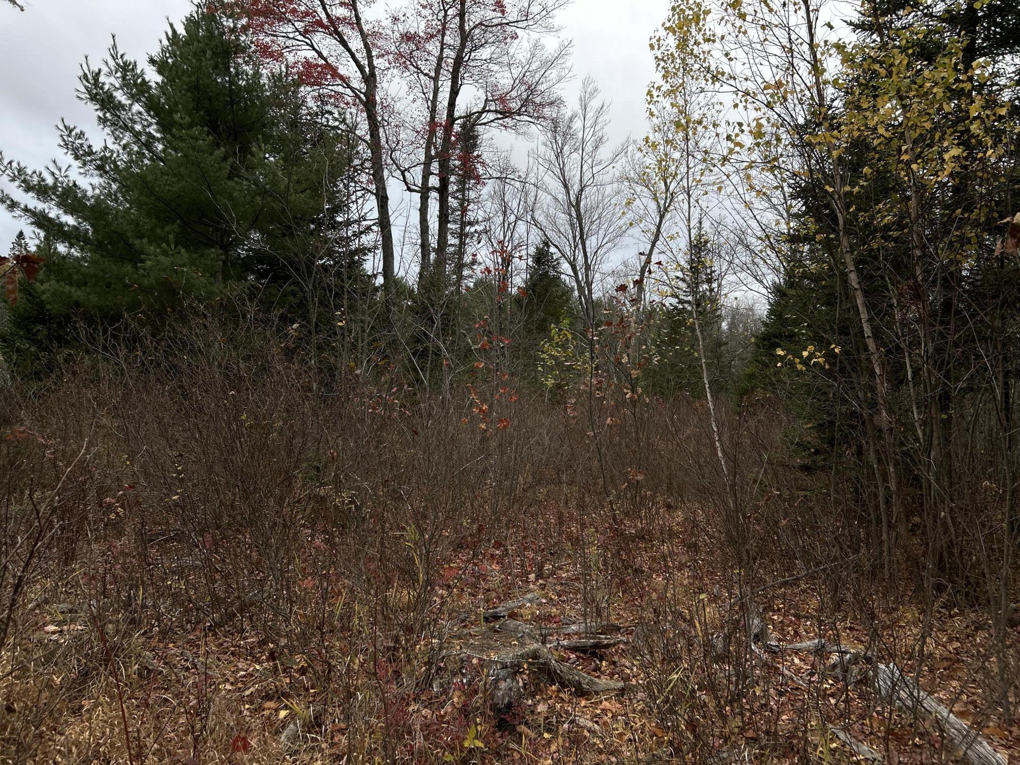 M4L18 Bog Road, Jackson, ME, 04921