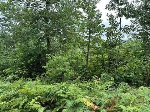 R01-044D Christian Hill Road, Lovell, ME, 04051