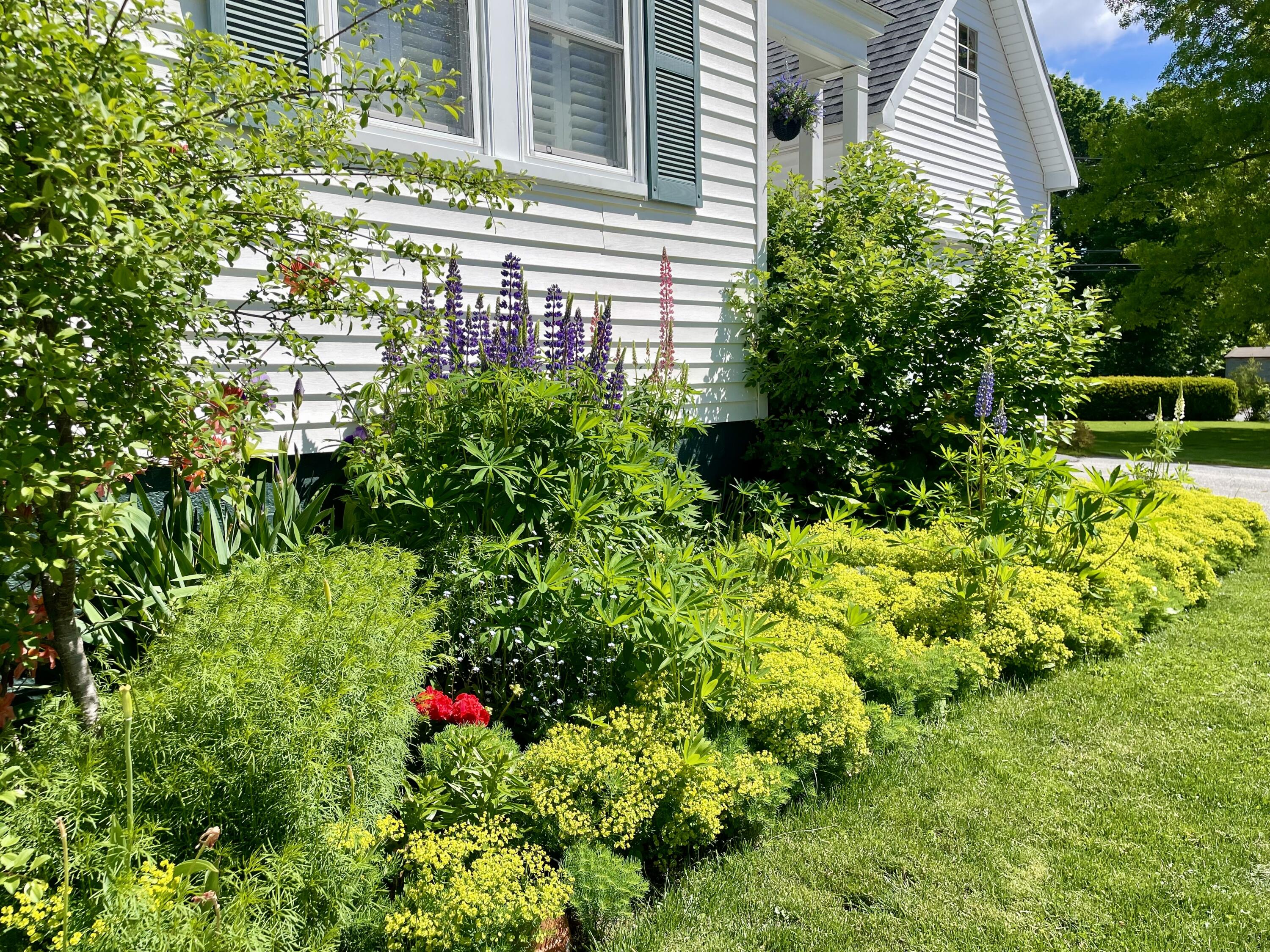 Mature landscaping brings tons of color and life to the home.