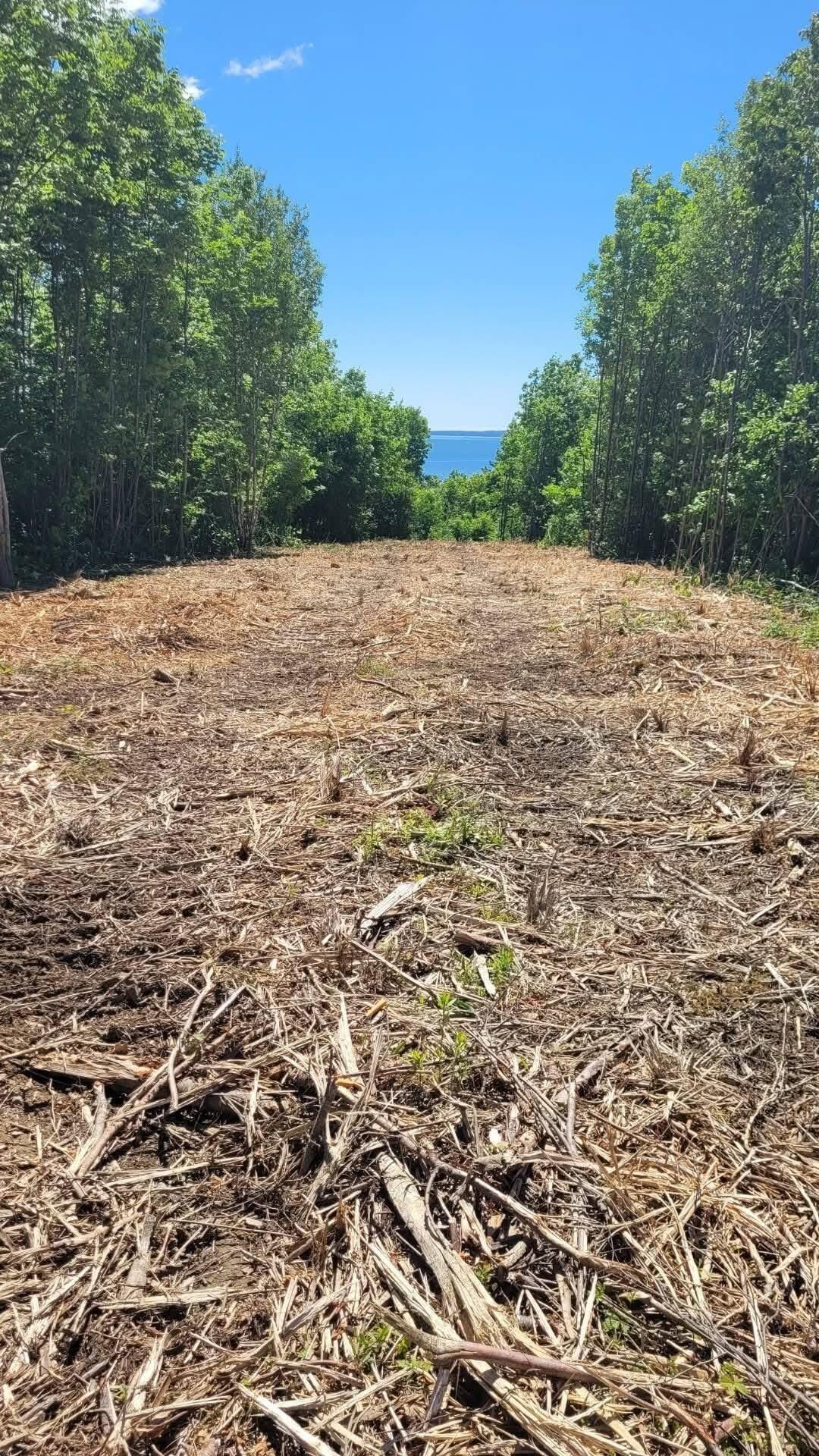 Lot 52 US- Route 1, Robbinston, ME, 04668