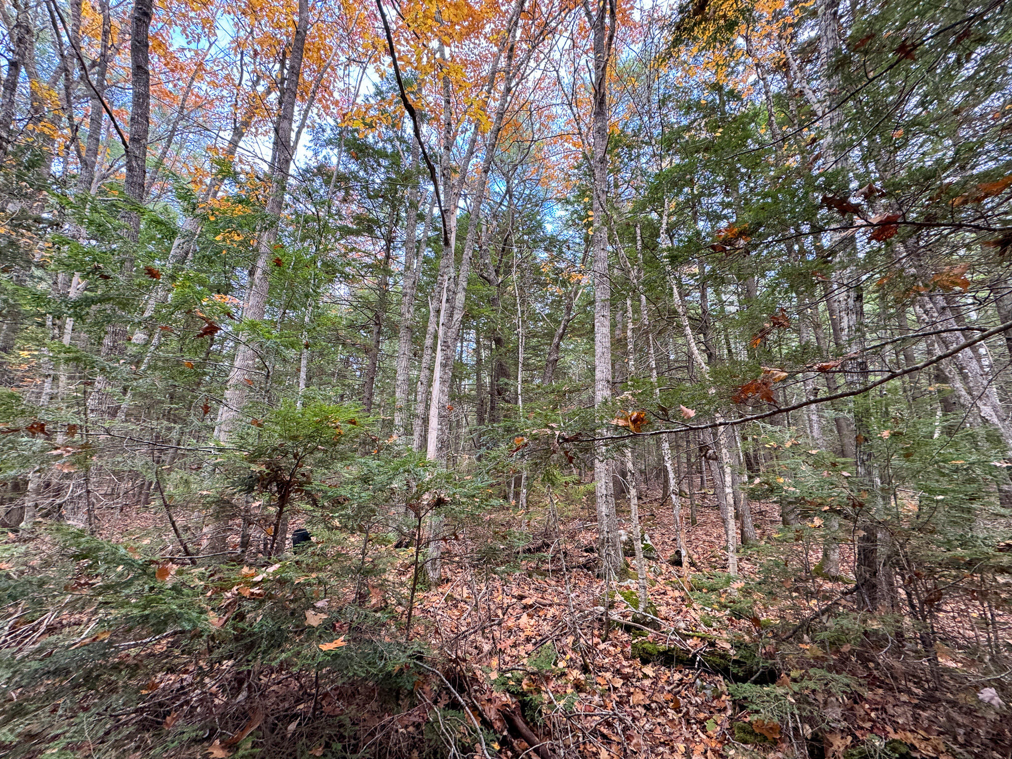 Lot 2 Darci Lane, Montville, ME, 04941
