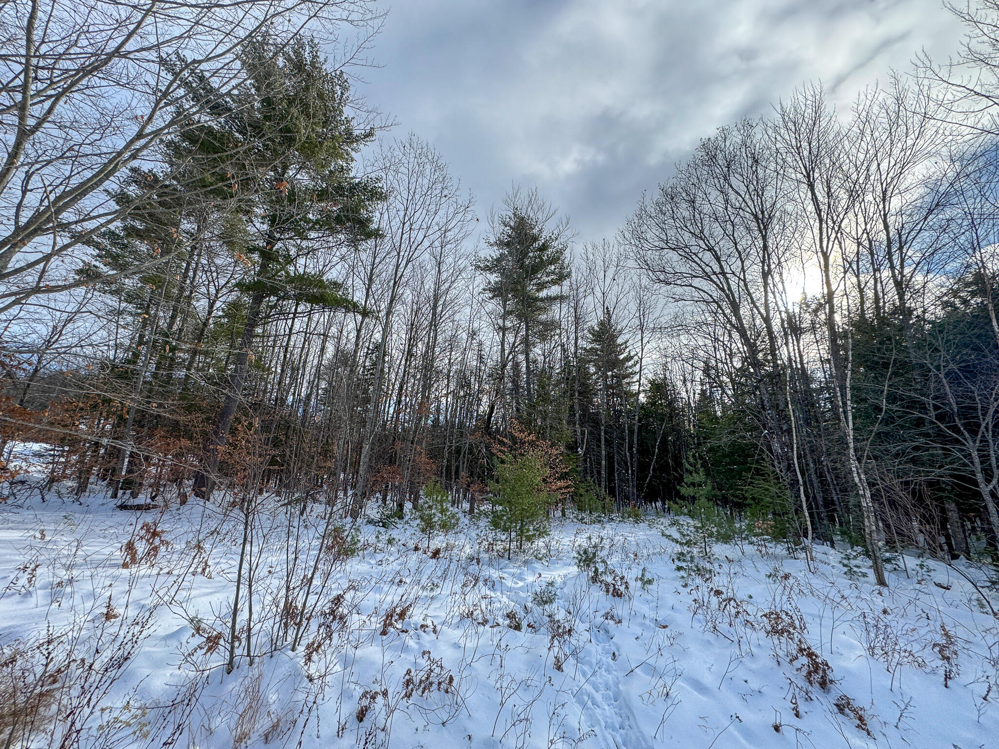 100 Sam Brown Hill Road, Brownfield, ME, 04010