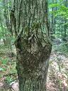 1-20 Claybrook Road, Kingfield, ME, 04947