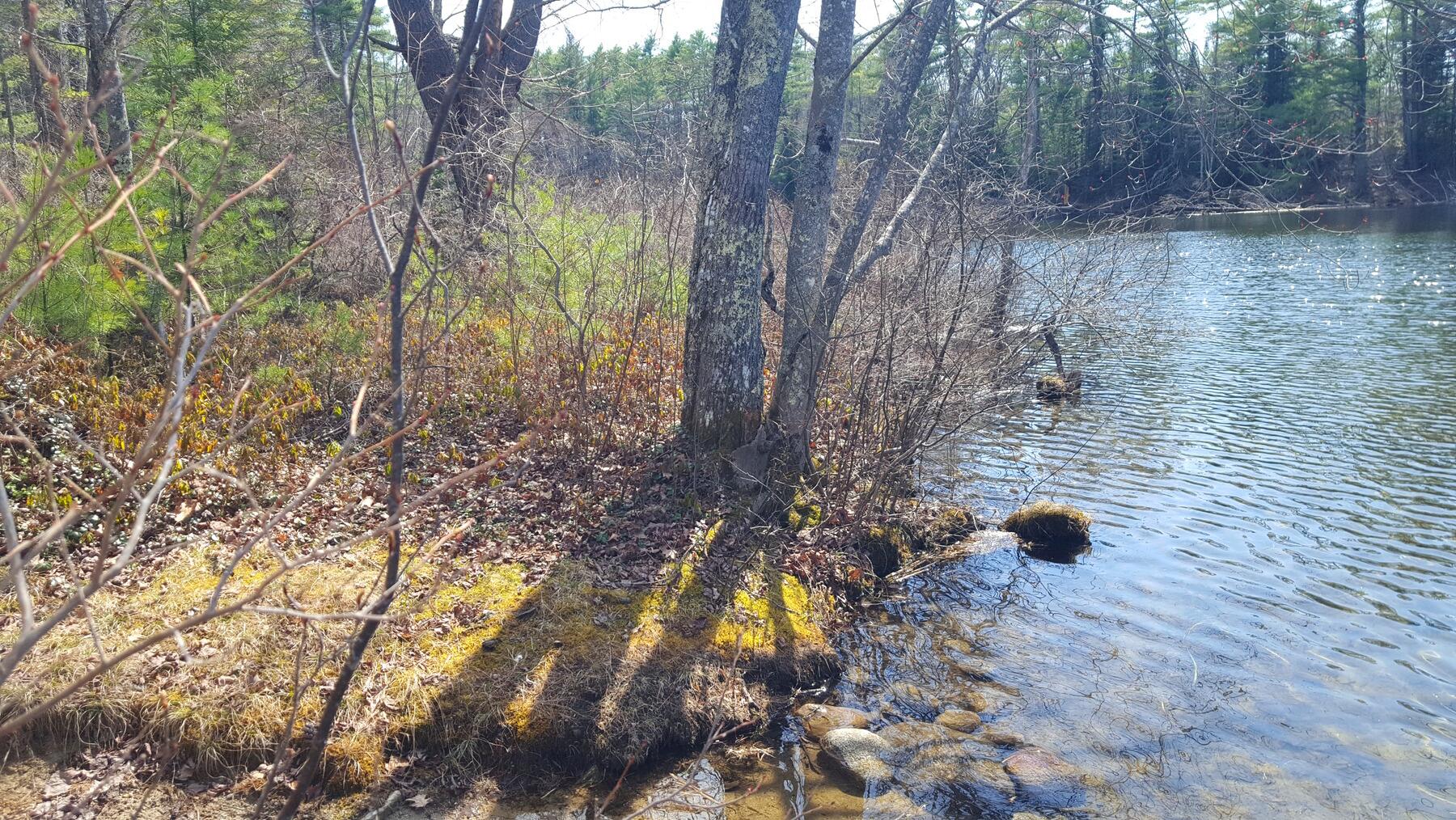 594 River Road Road, Windham, ME, 04062