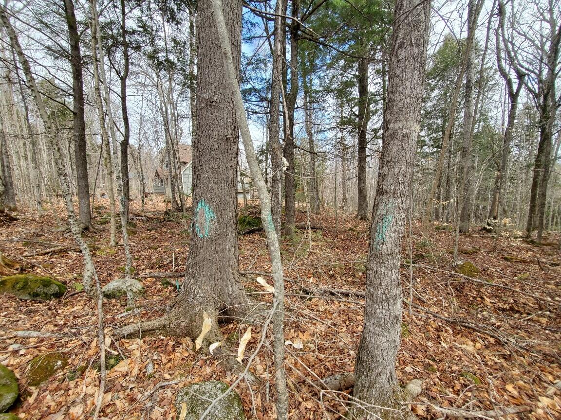 0 Sandy Beach Road, Danforth, ME, 04424