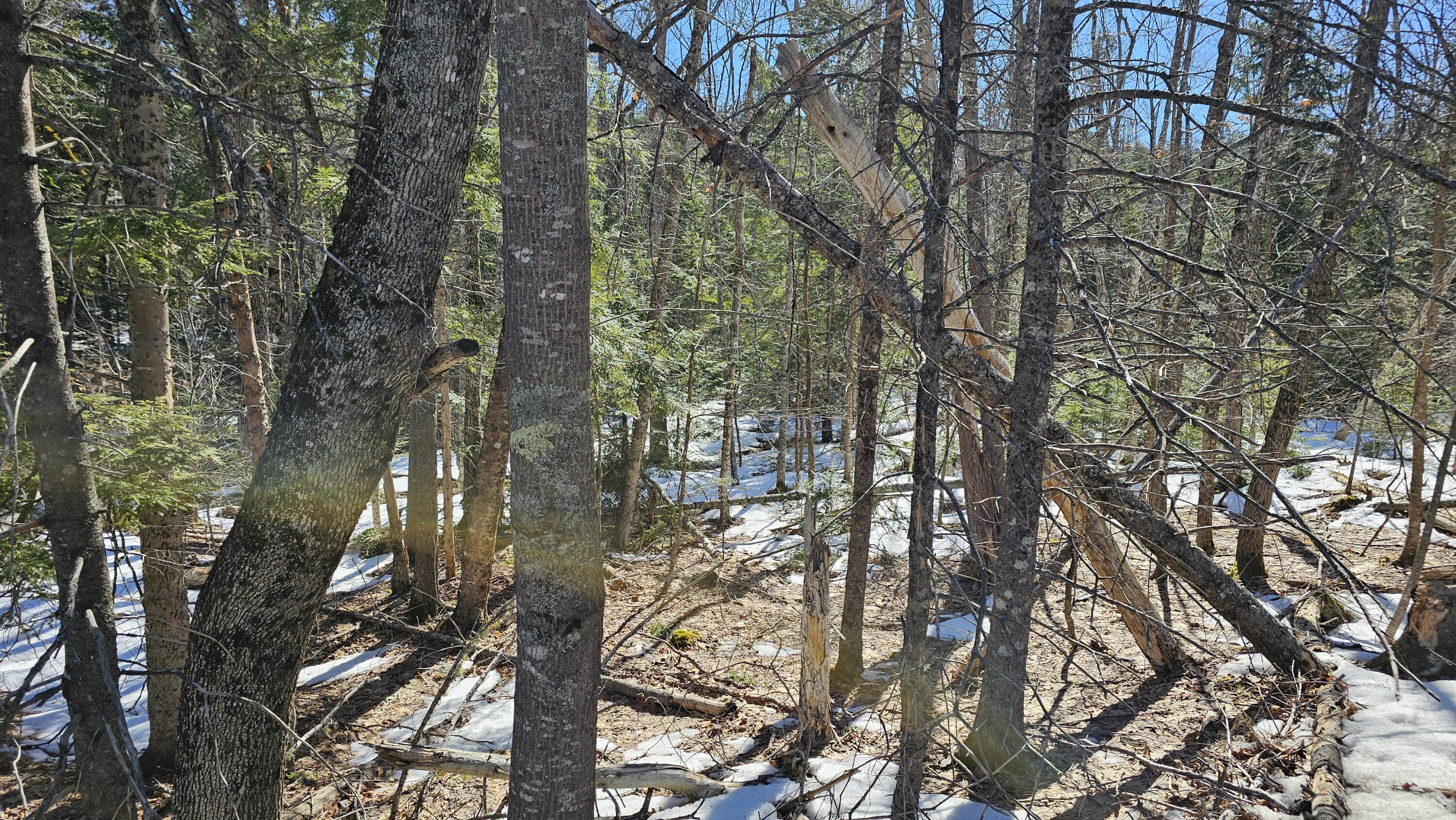 41-000-000 Kidder Hill Road, Holden, ME, 04429