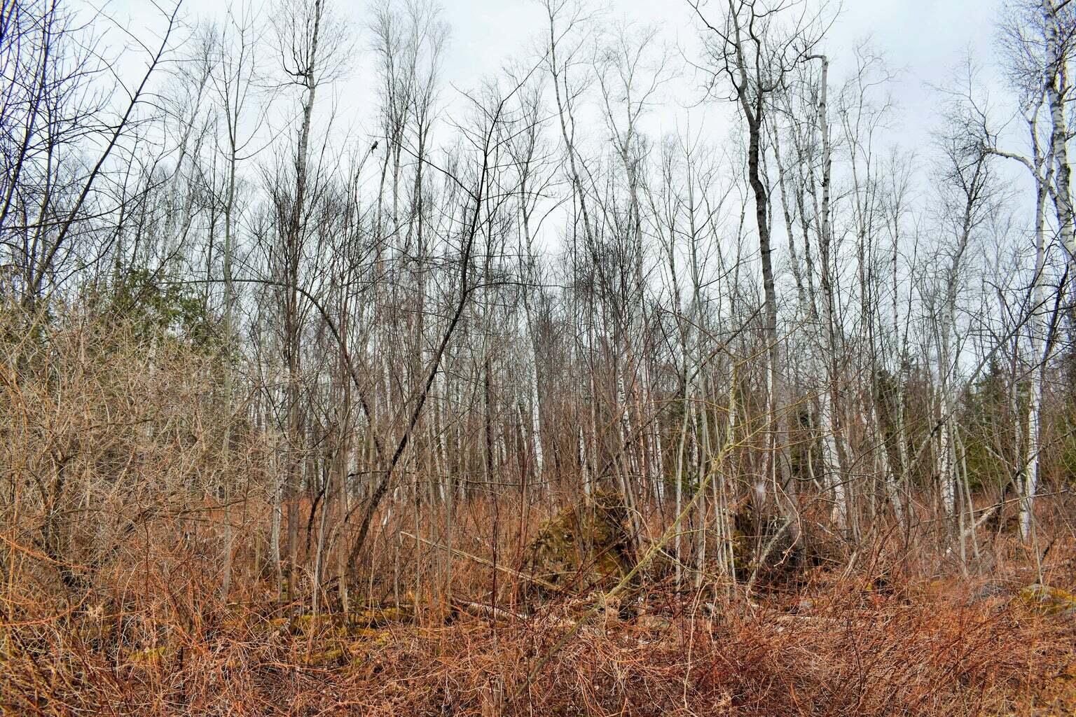 PO72,P090 Cotta Lane & RT 43, Saint Albans, ME, 04971