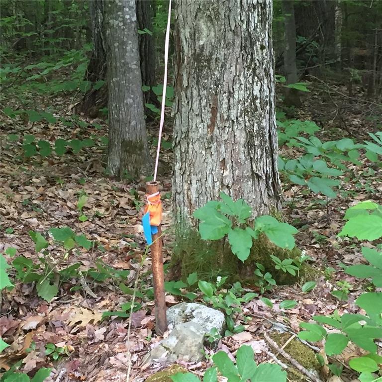 0 Richardson Hollow & Young Hill Road, Greenwood, ME, 04255