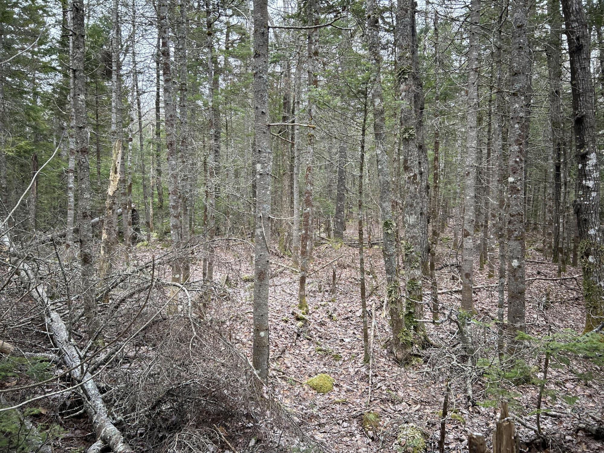 WA31P01L21 Kings Street, Dennysville, ME, 04628