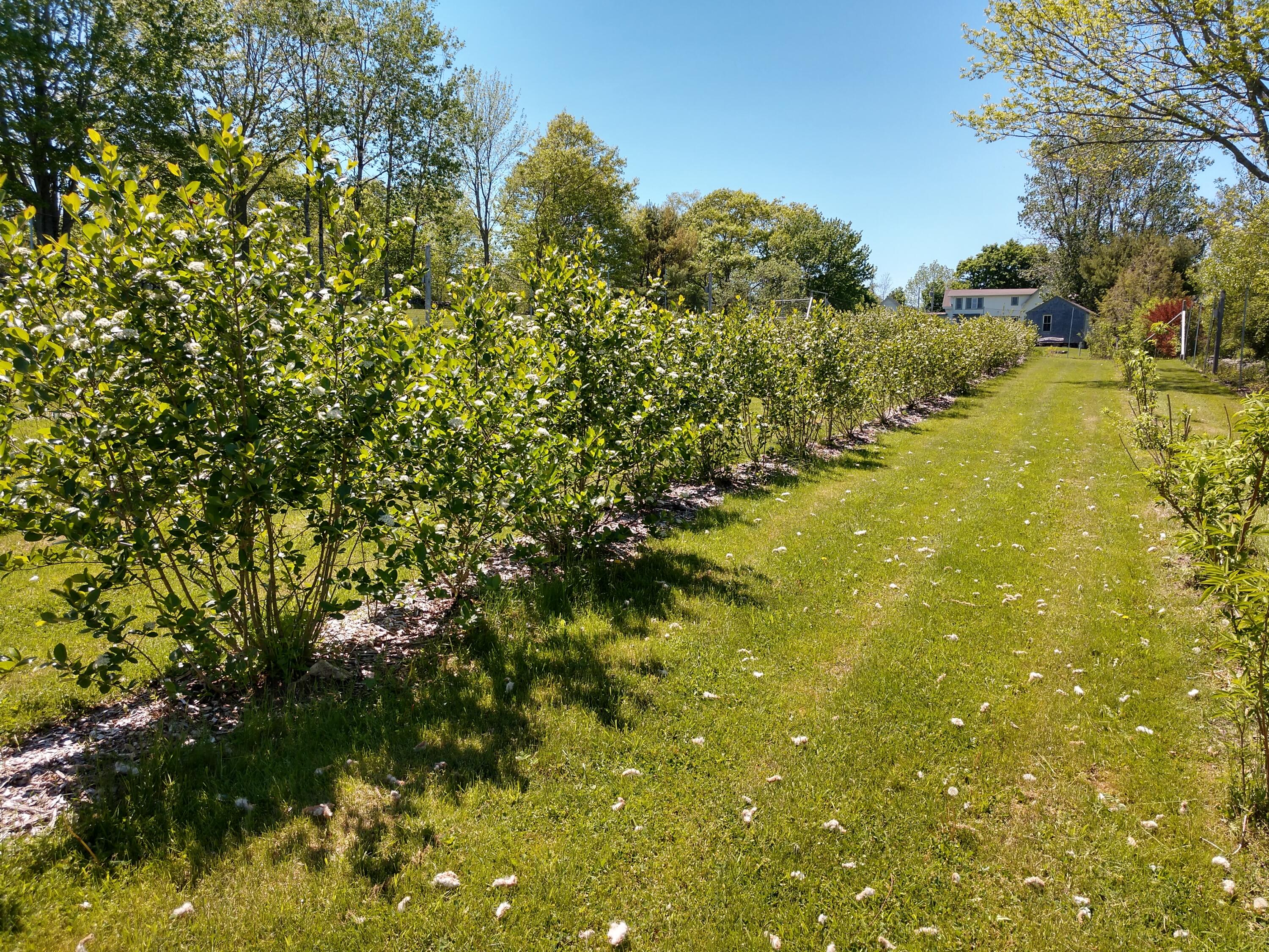 902 Dutch Neck Road, Waldoboro, ME, 04572