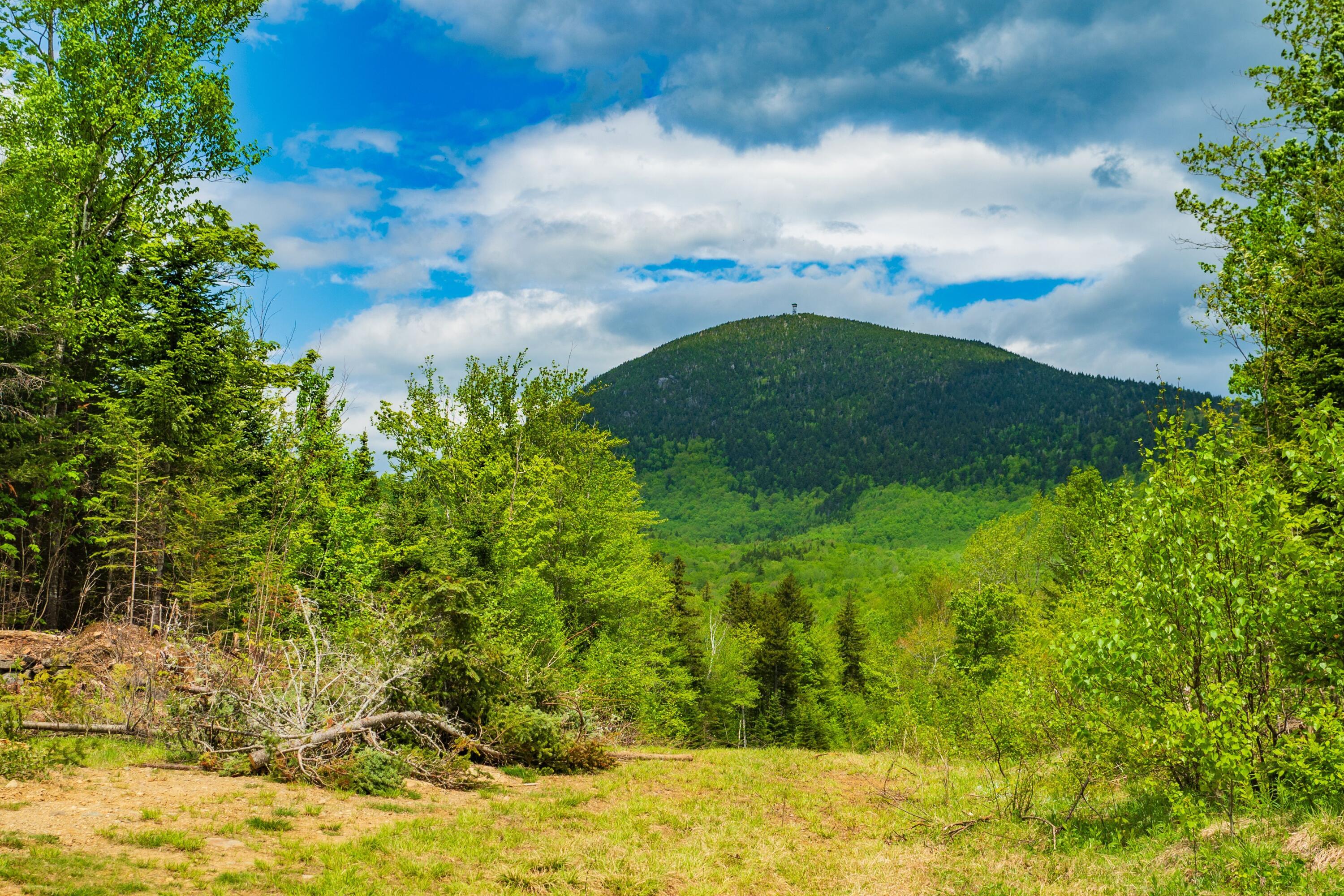 14 Moose Alley Road, Temple, ME, 04984