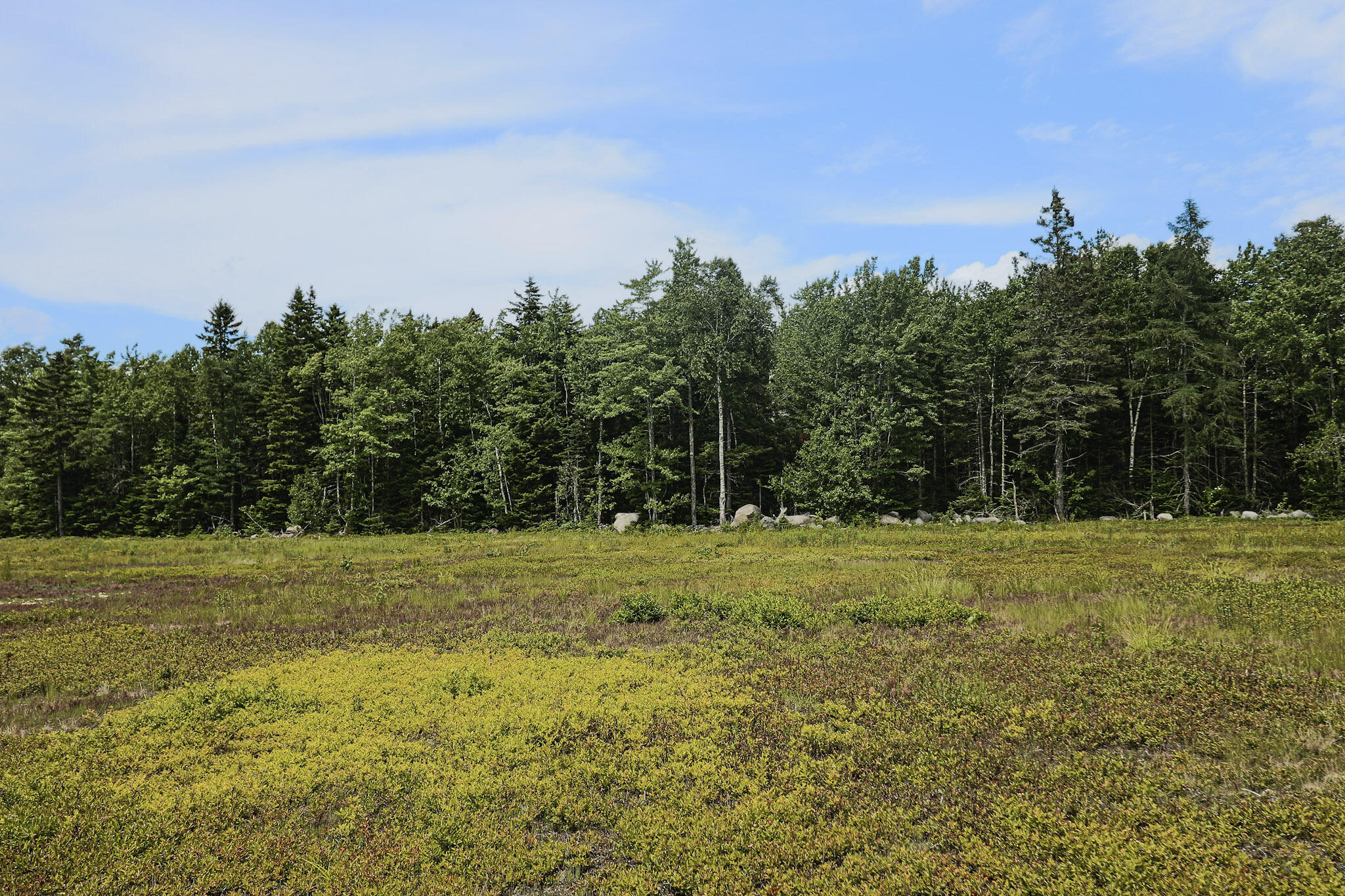 MAP13LOT9 Martins Ridge Road, Franklin, ME, 04634