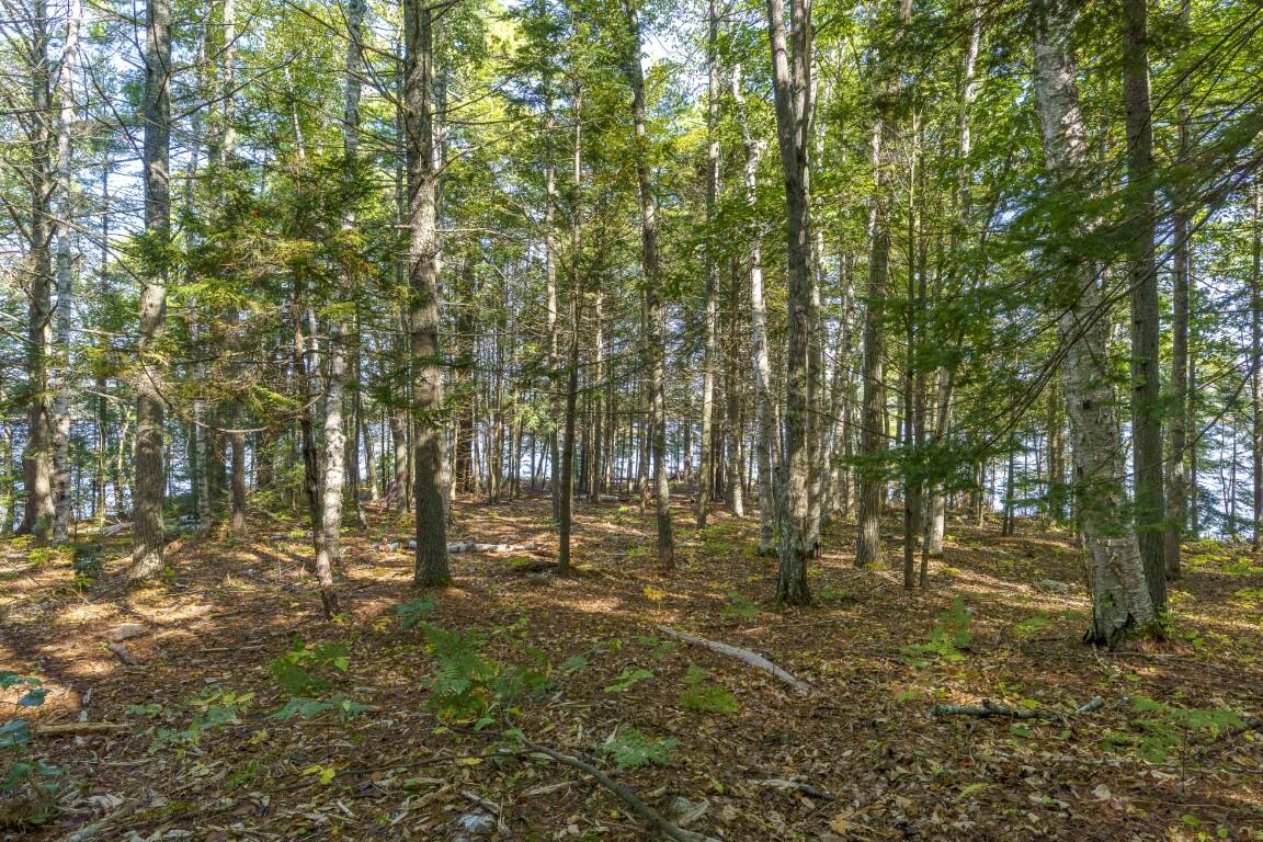 48 US Route 1, Edgecomb, ME, 04556