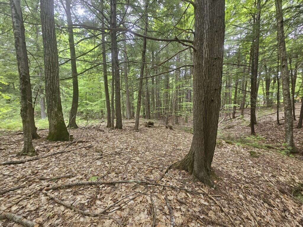 M10L44 Mountain View Road, Fryeburg, ME, 04037