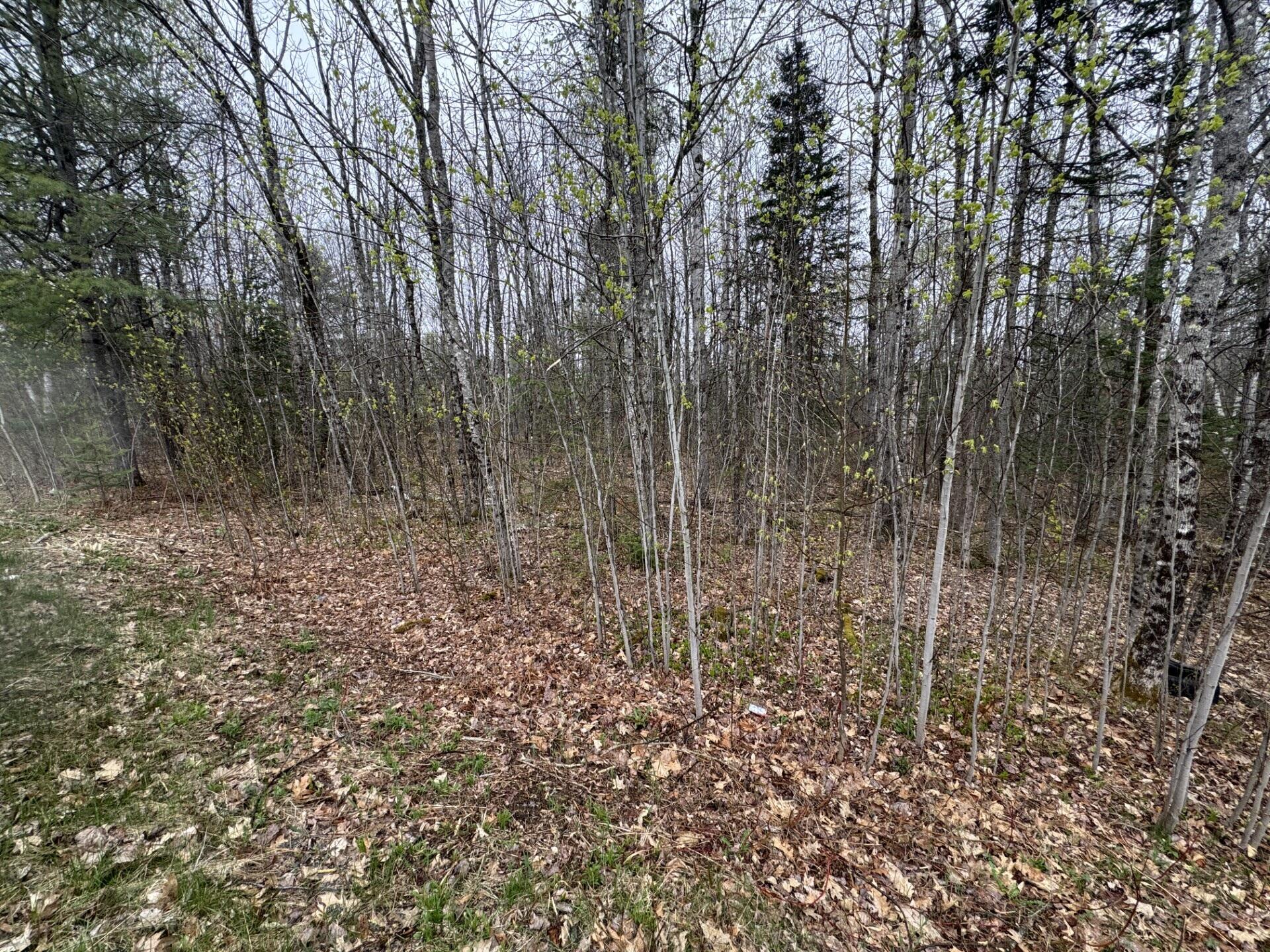 Lot 23 N Dixmont Road, Troy, ME, 04987 Lot 23 N Dixmont Road, Troy, ME, 04987
