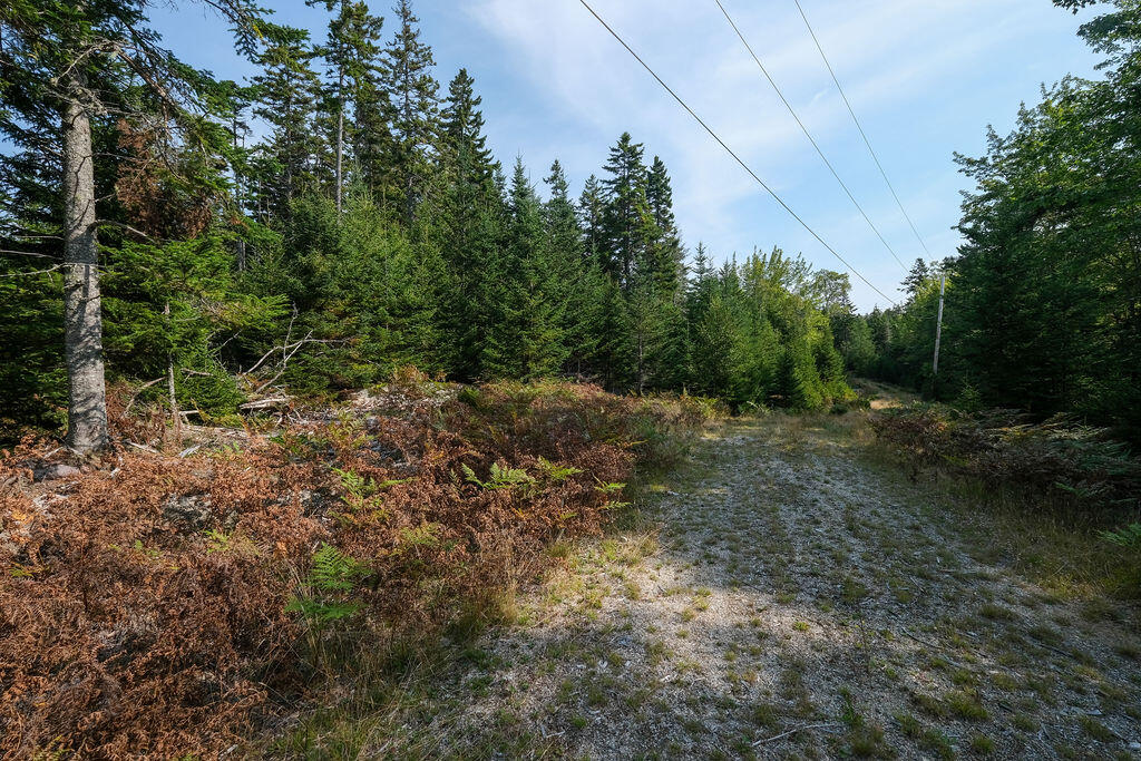 12-1 S Burnt Cove Road, Stonington, ME, 04681