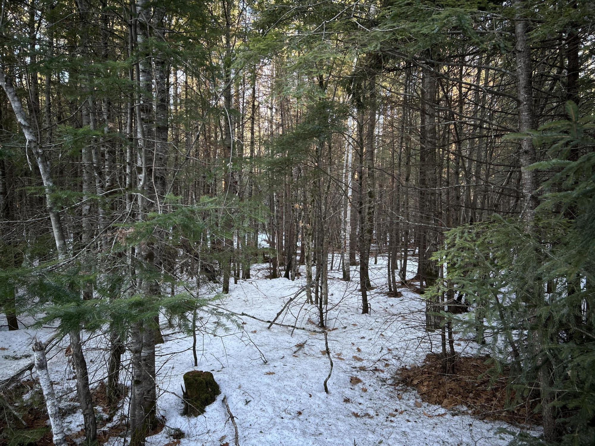 Map13Lot11 Field View Road, Fryeburg, ME, 04037
