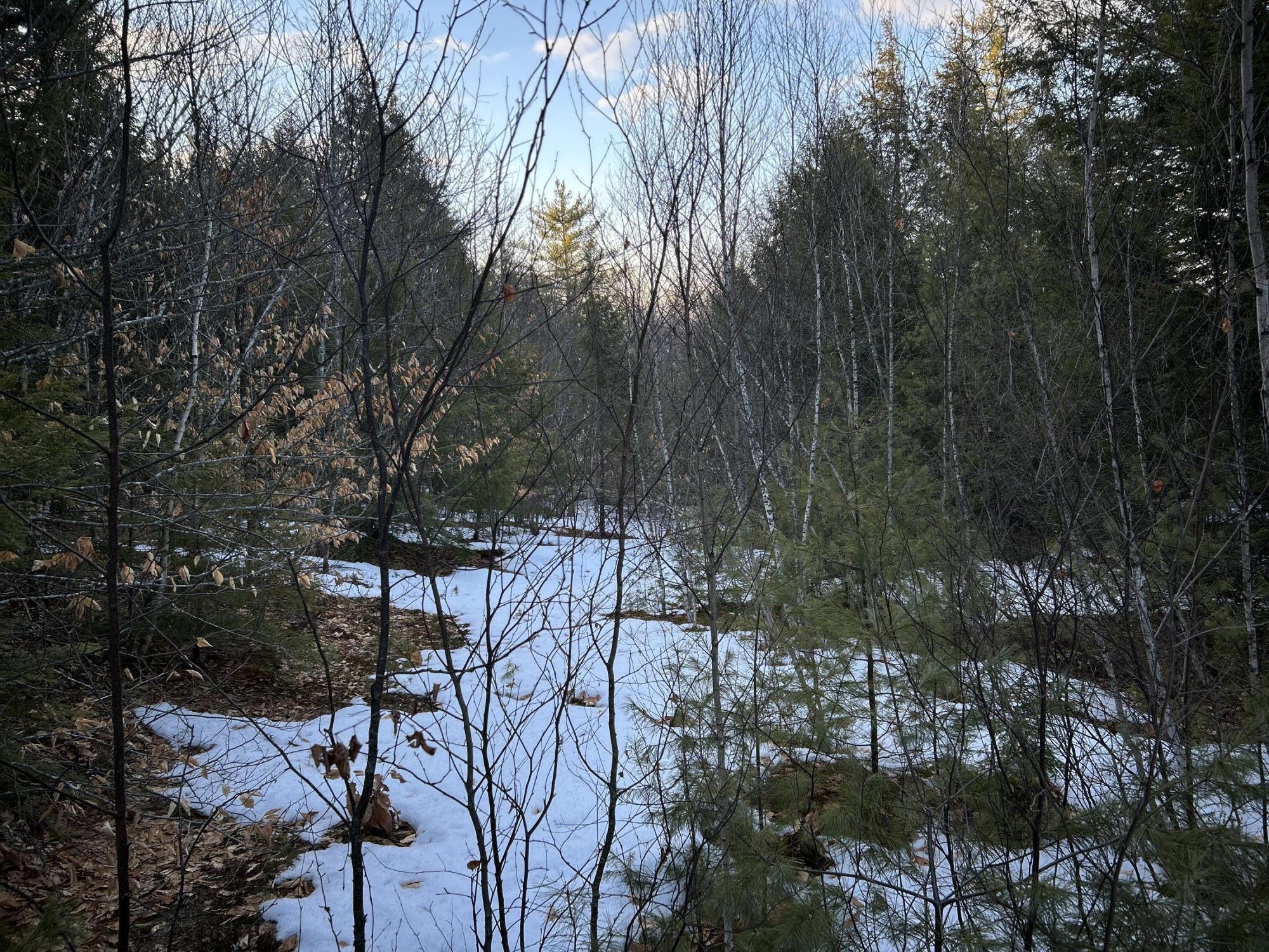 Map13Lot11 Field View Road, Fryeburg, ME, 04037