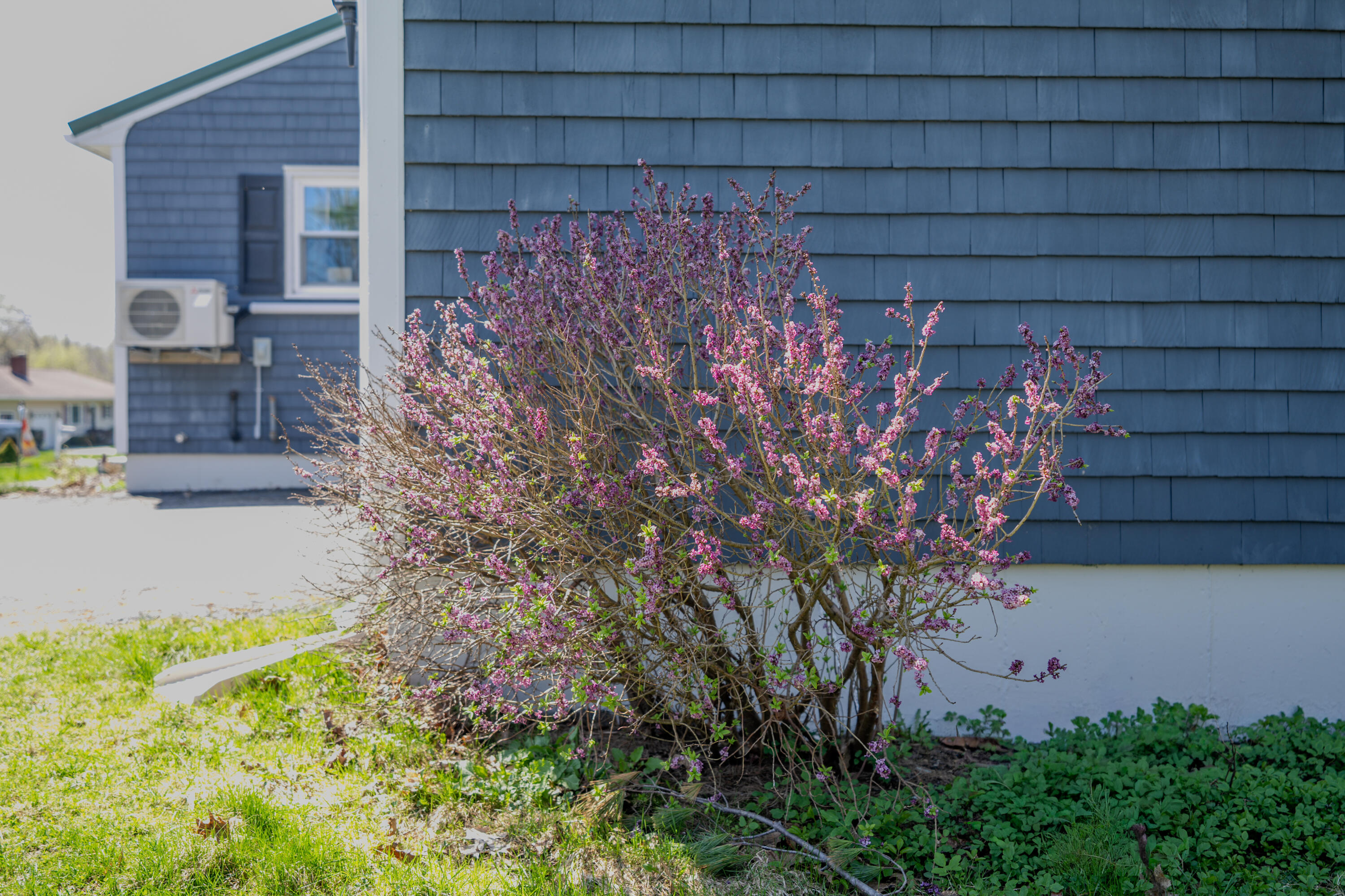 25 Arbor Drive, Veazie, ME, 04401