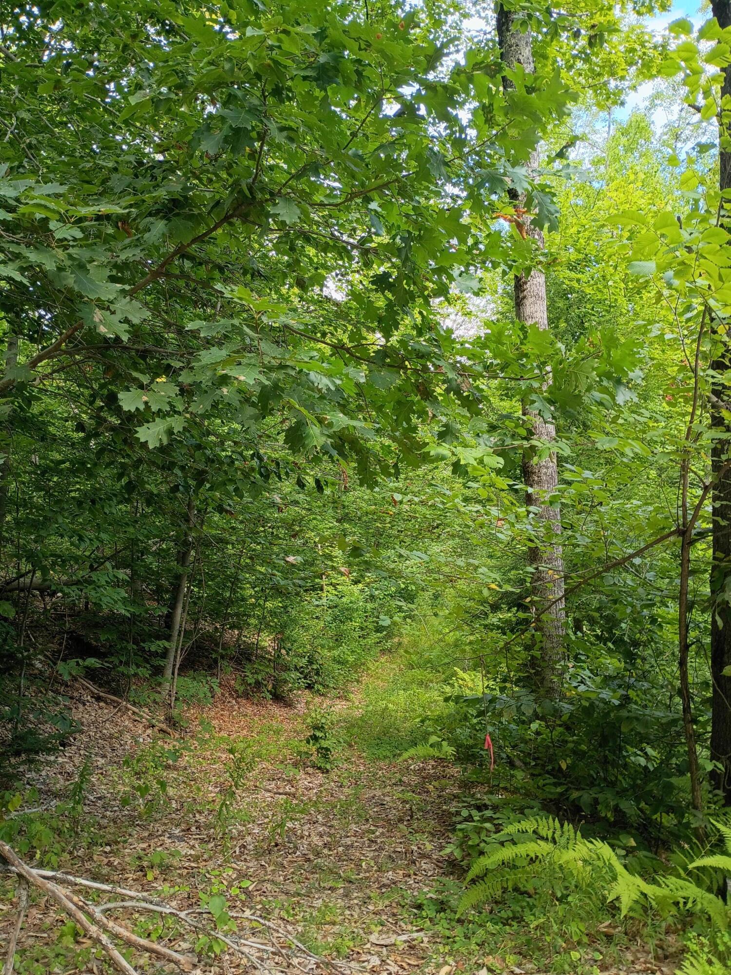 R13/038 Weeks Road, Parsonsfield, ME, 04047