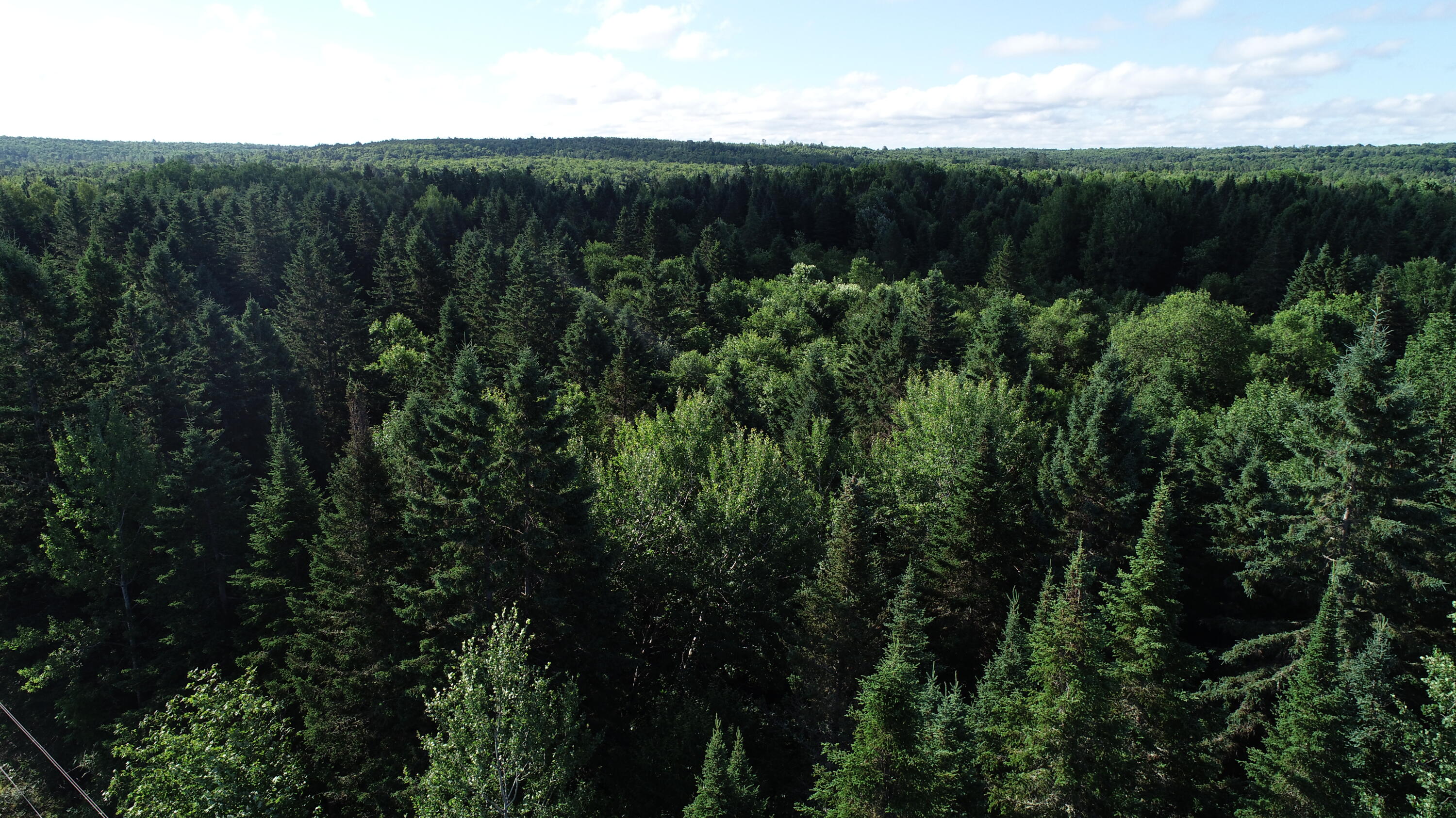 Lot 27 Brewer Road, Cary Plt, ME, 04471