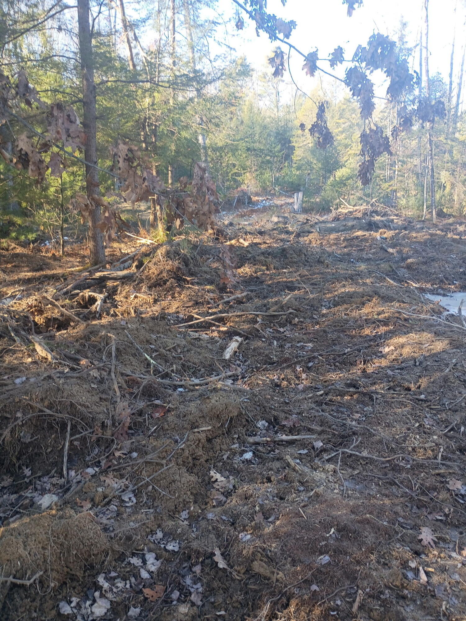 848 Old Stage Road, Woolwich, ME, 04579