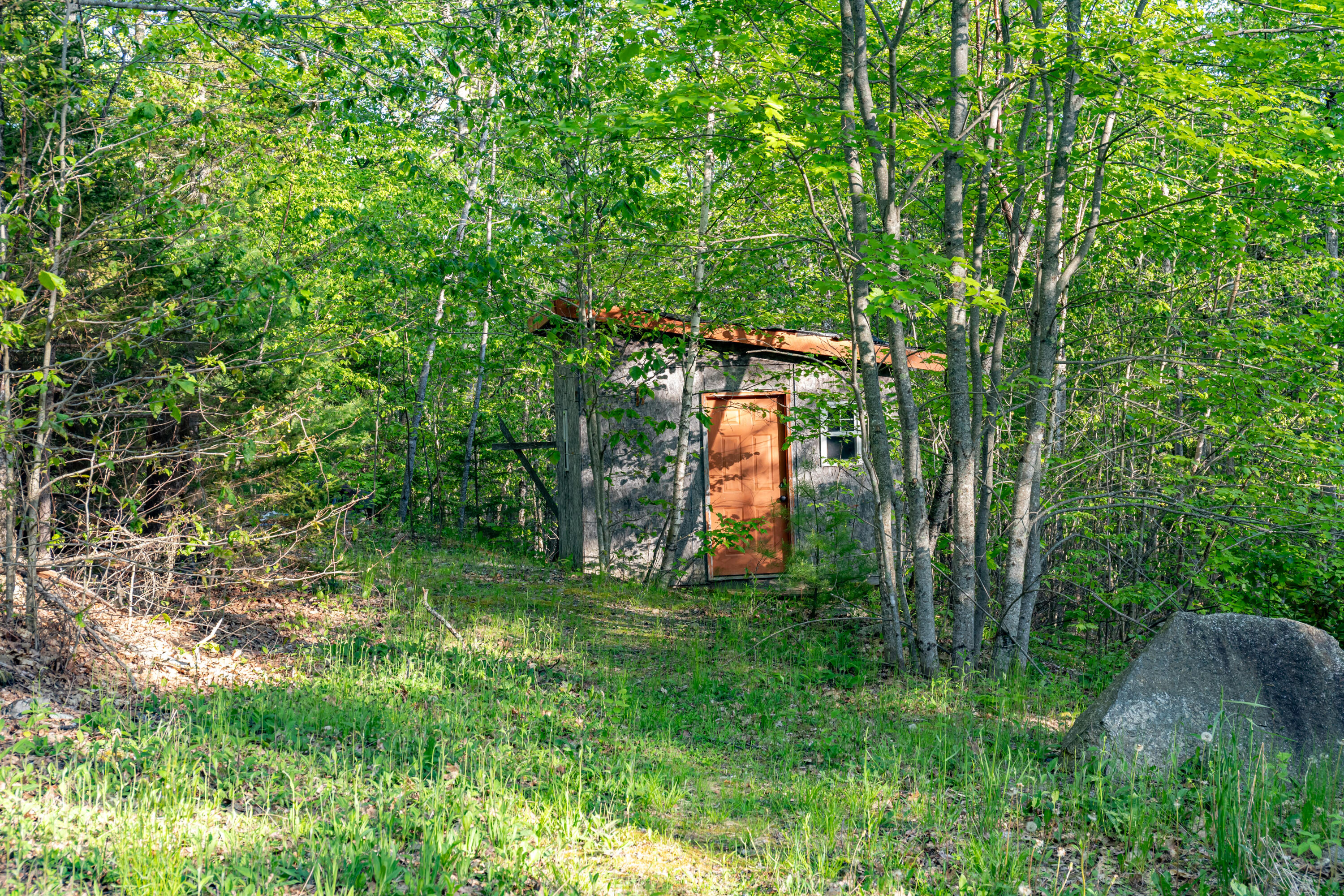 Shed