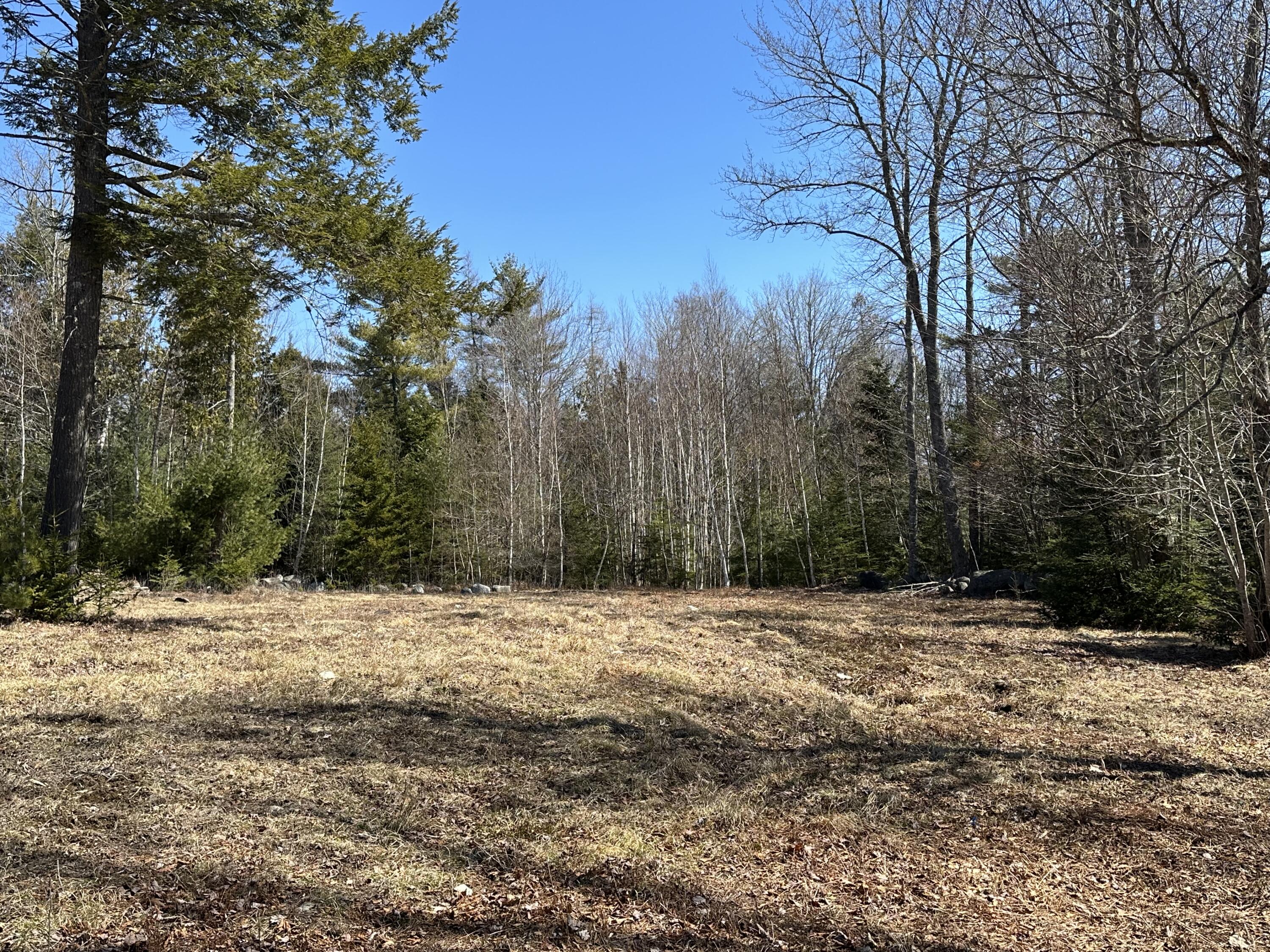 Lot UNIT&nbsp;0 Morgan Bay Road, Surry, ME, 04684