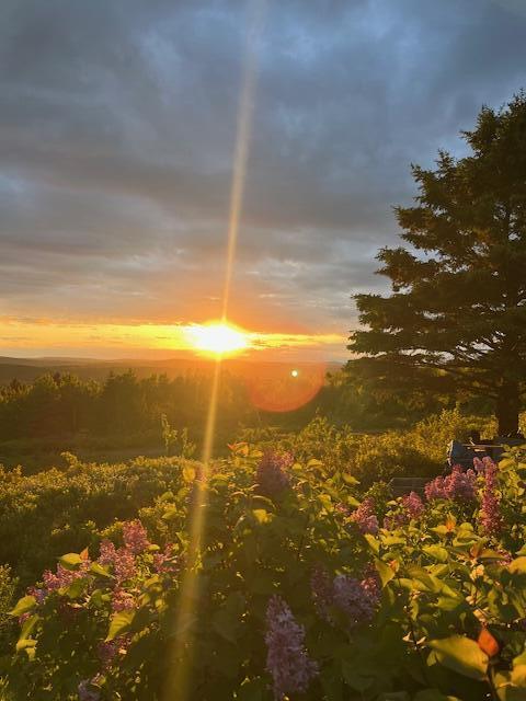 533 Mount Ephraim Map 4 Lot 63 Road, Searsport, ME, 04974