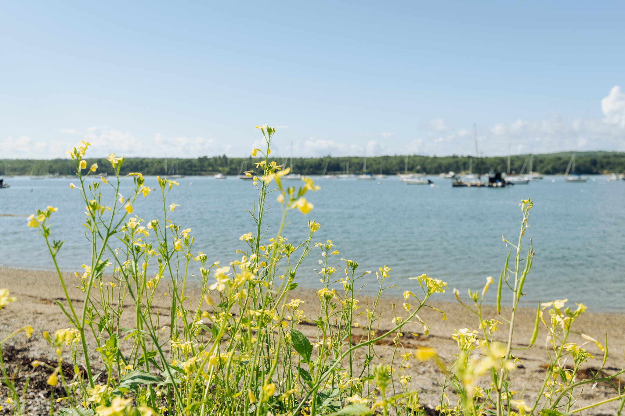 58 Harbor View Drive UNIT 58, Stockton Springs, ME, 04981