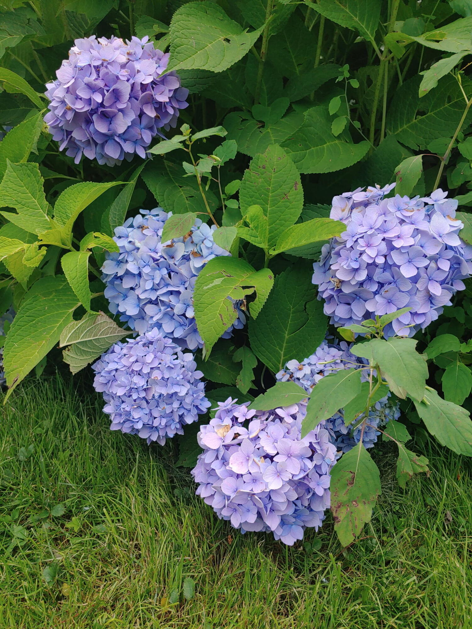 48 Pennell Avenue, Portland, ME, 04103