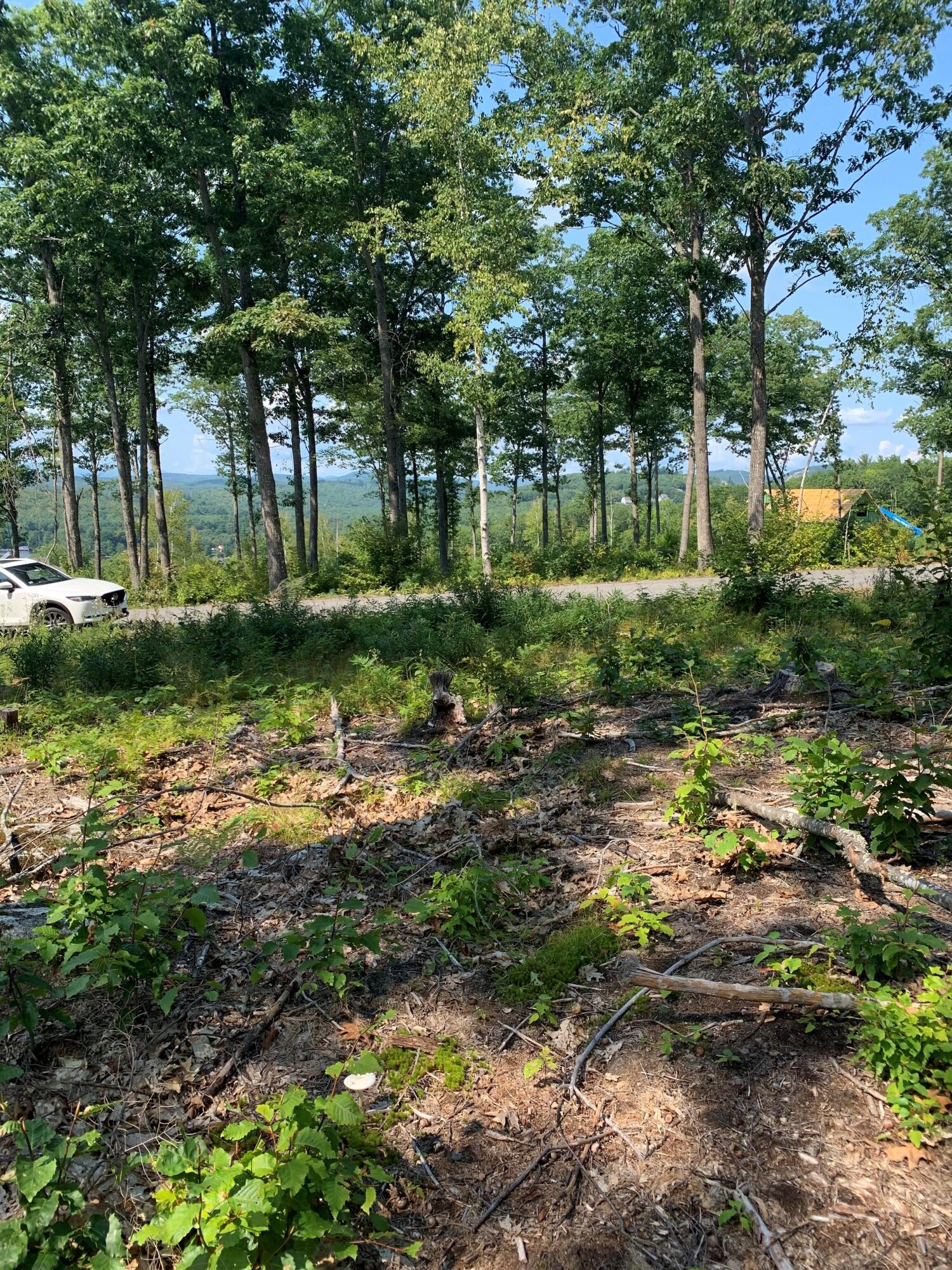 Lot 17 Birch Circle, Harrison, ME, 04040