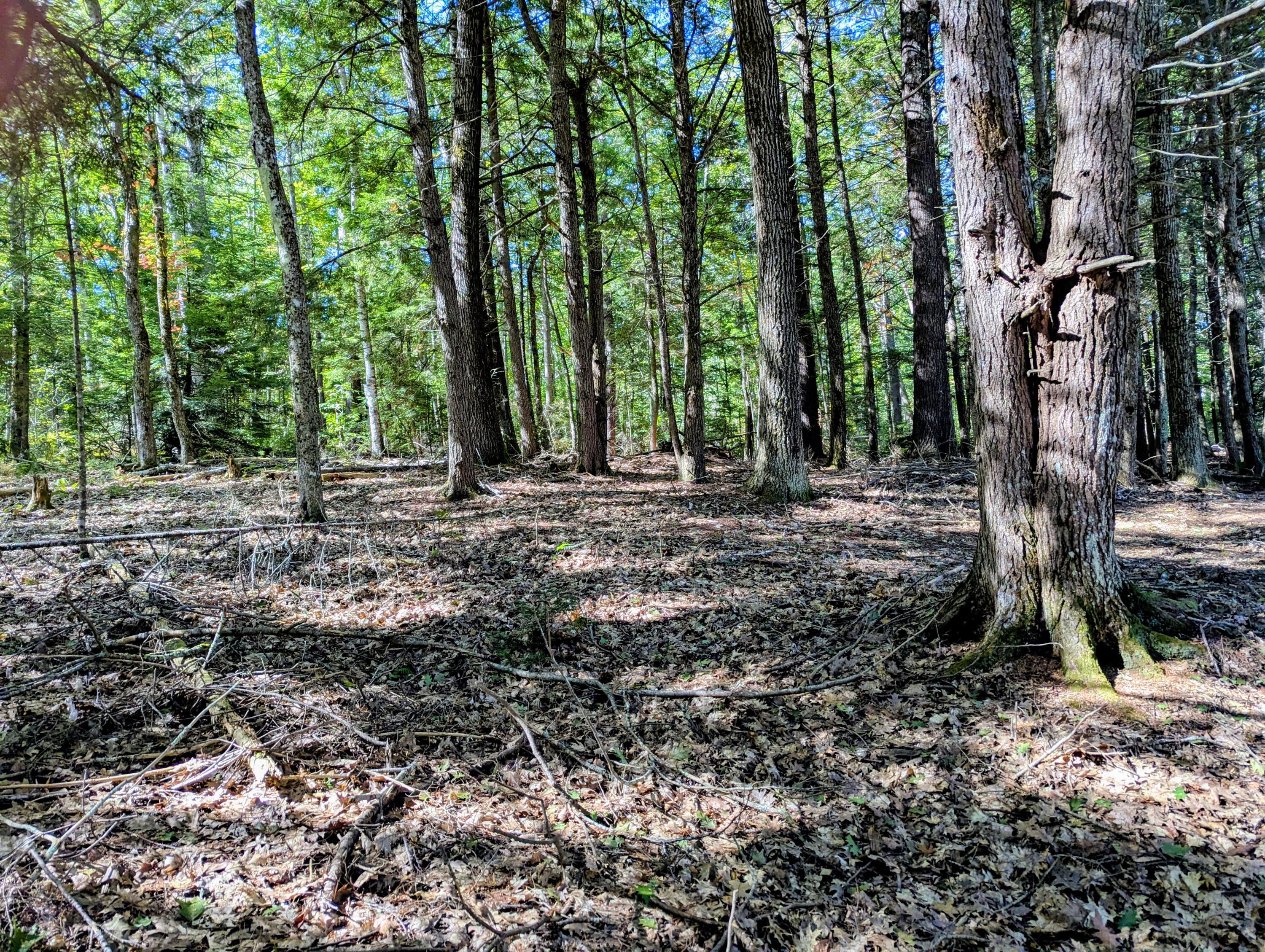 755 Winslows Mills Road N, Waldoboro, ME, 04572