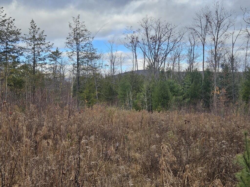 L52 Bridgton Road, Sweden, ME, 04040